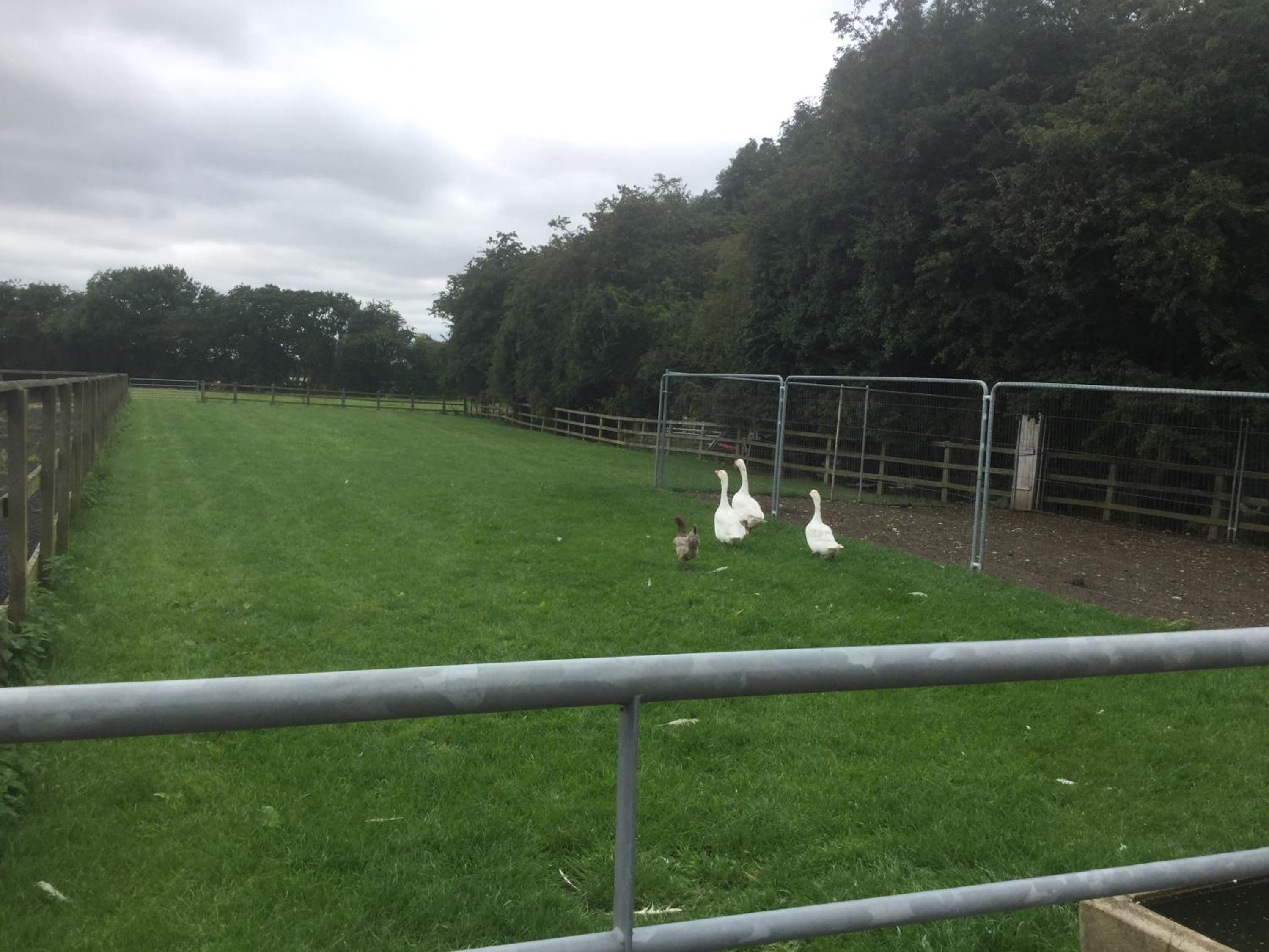 Crossgate Farm