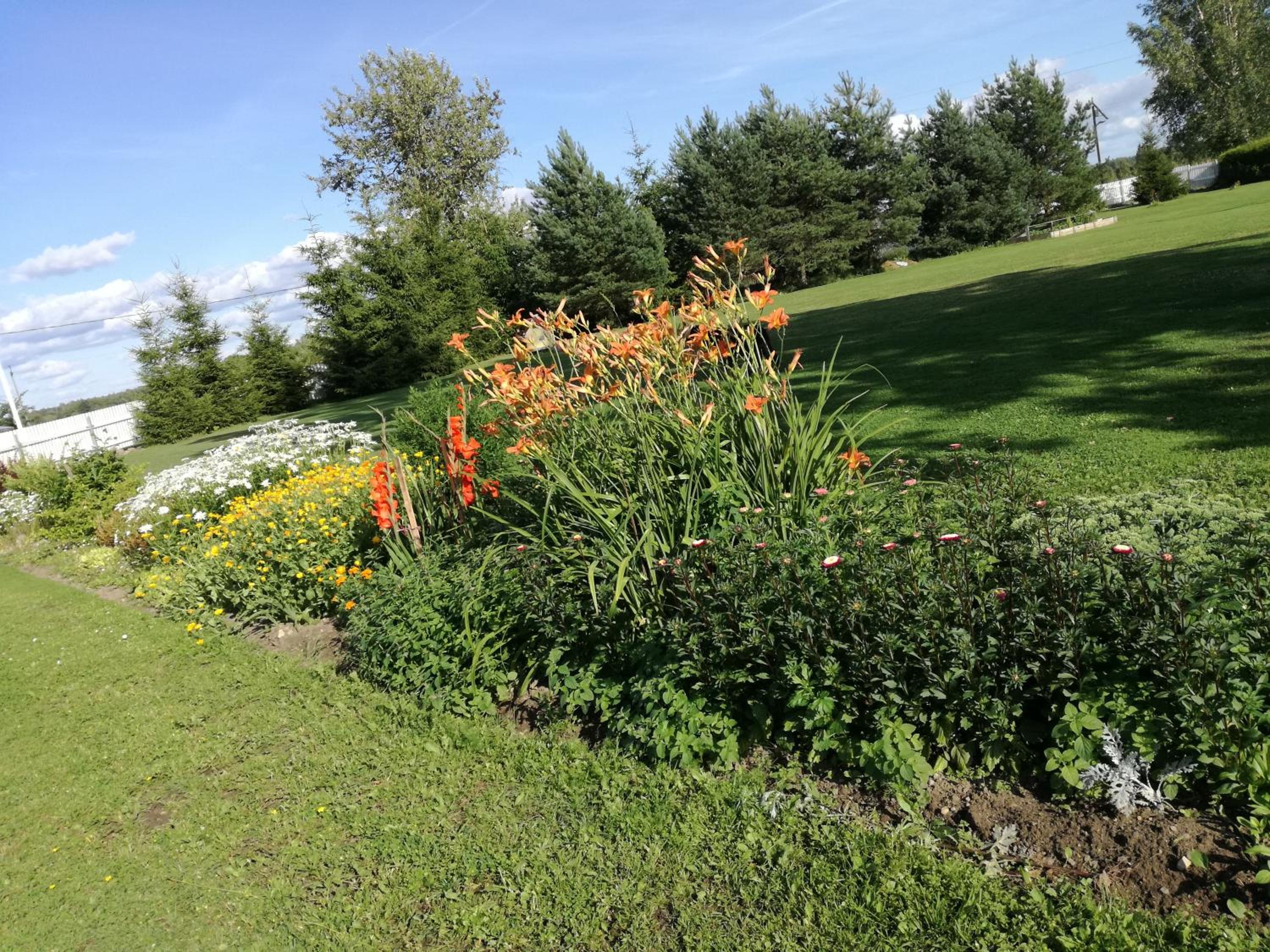 Photo 43