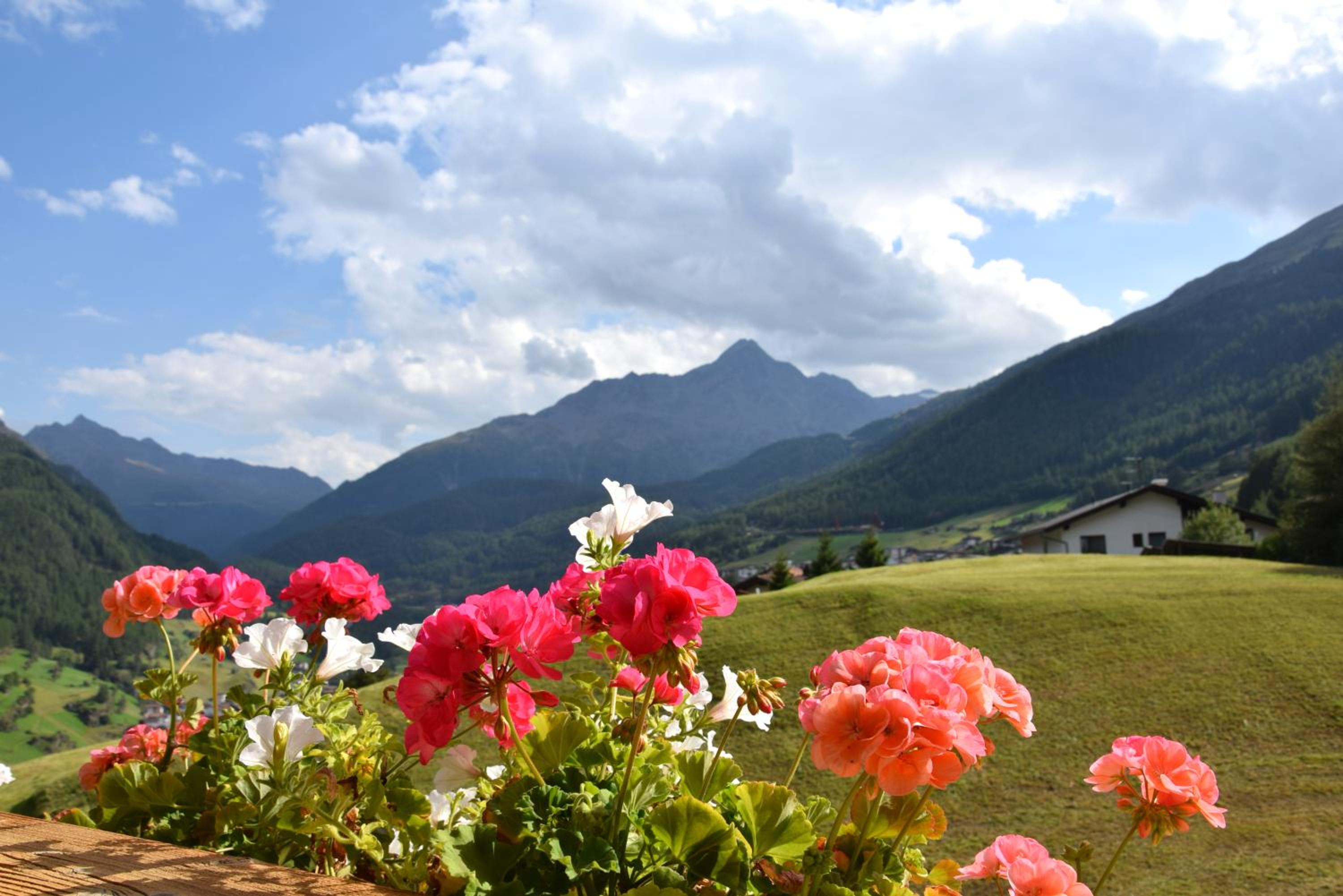 Appartement Belmonte view 3