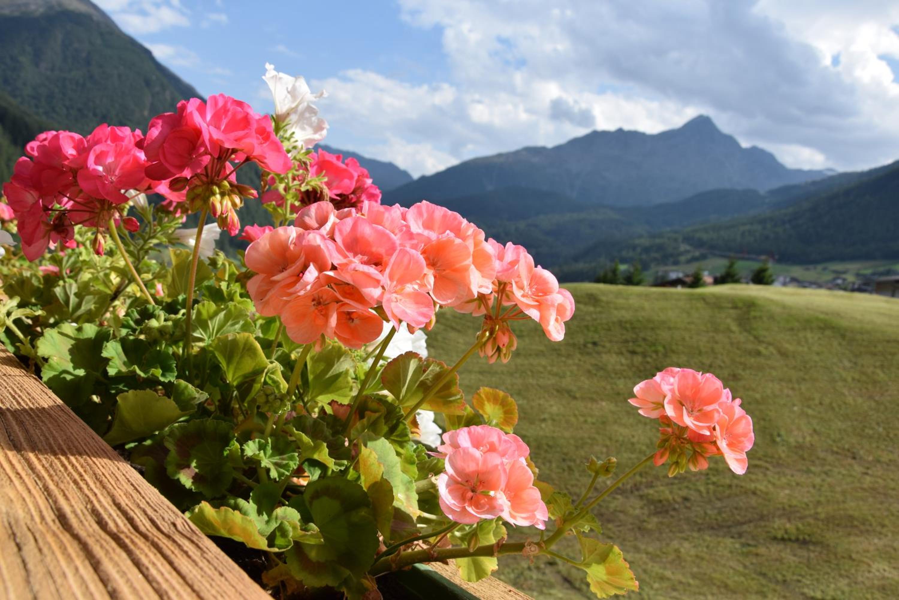 Appartement Belmonte view 4