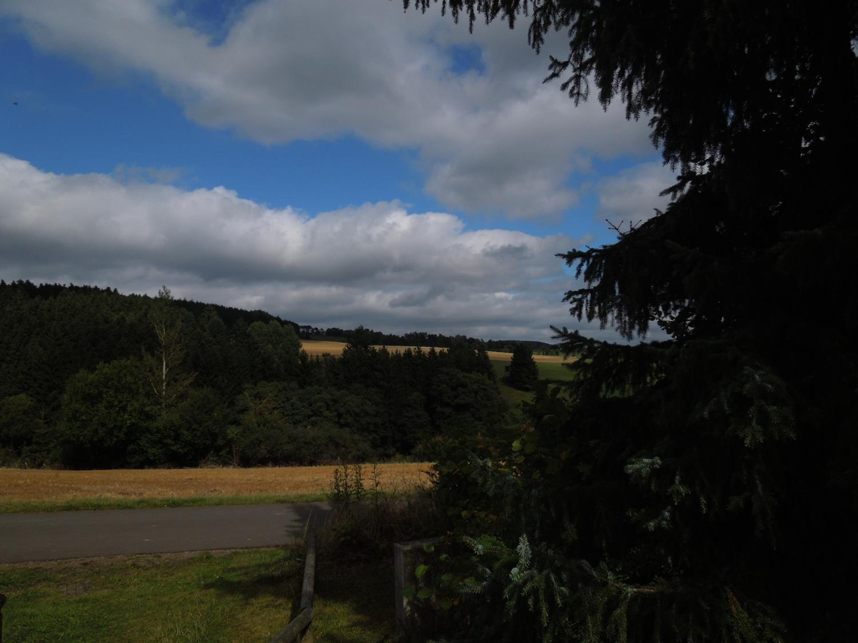 Haus am Wald