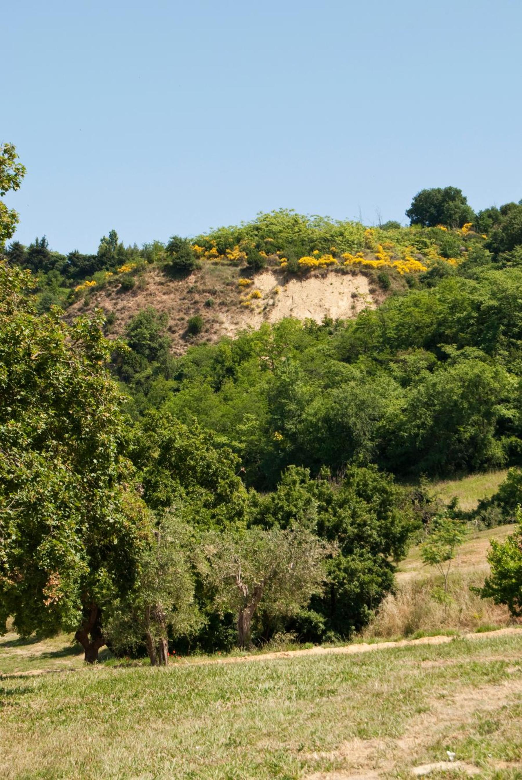Agriturismo Il Falco
