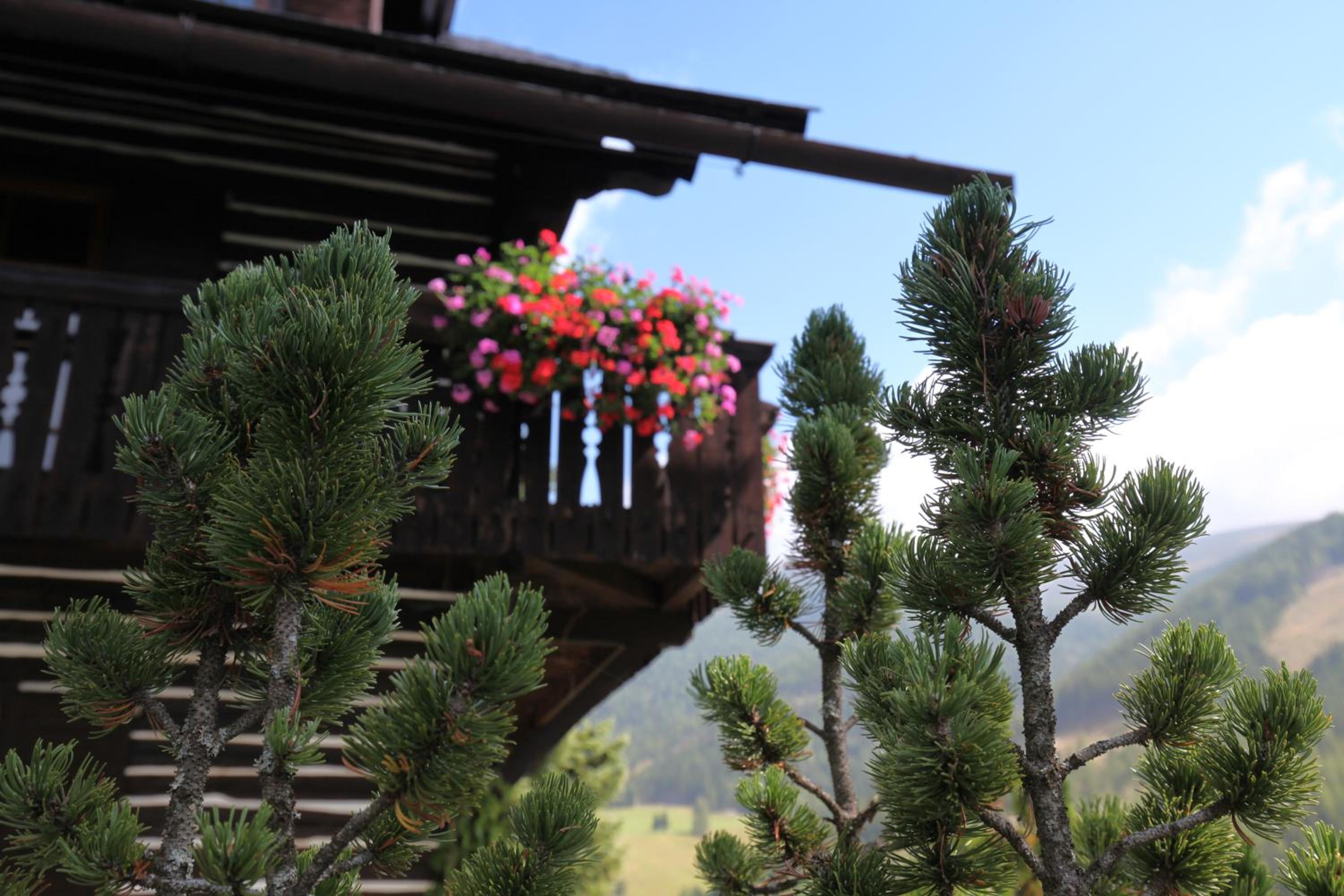 Pension & Appartements Ronacherhof -Mountain Hideaway Slopeside