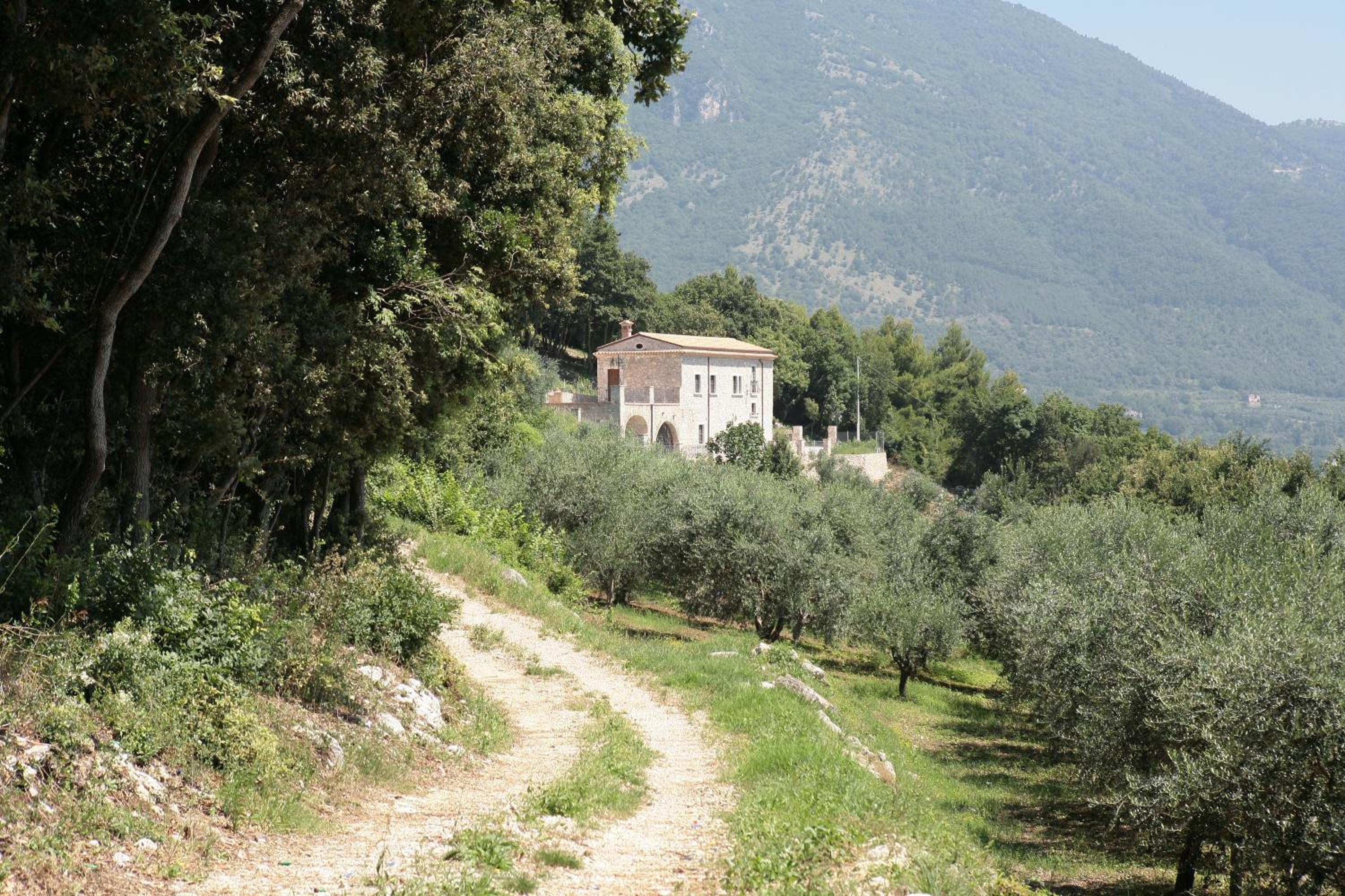 Photo 14