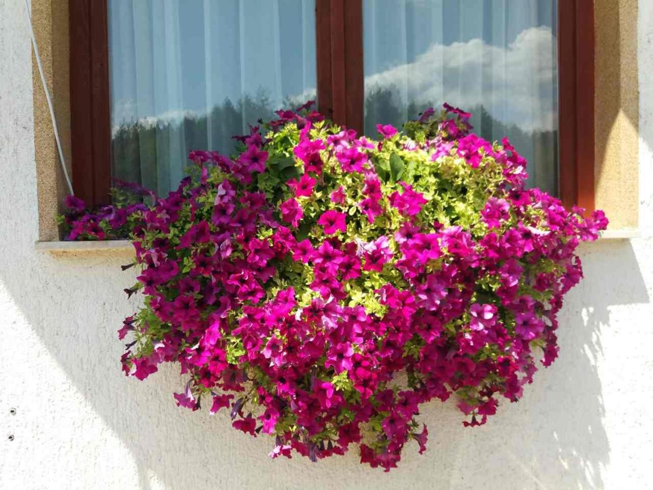 Apartment Una Strbacki Buk