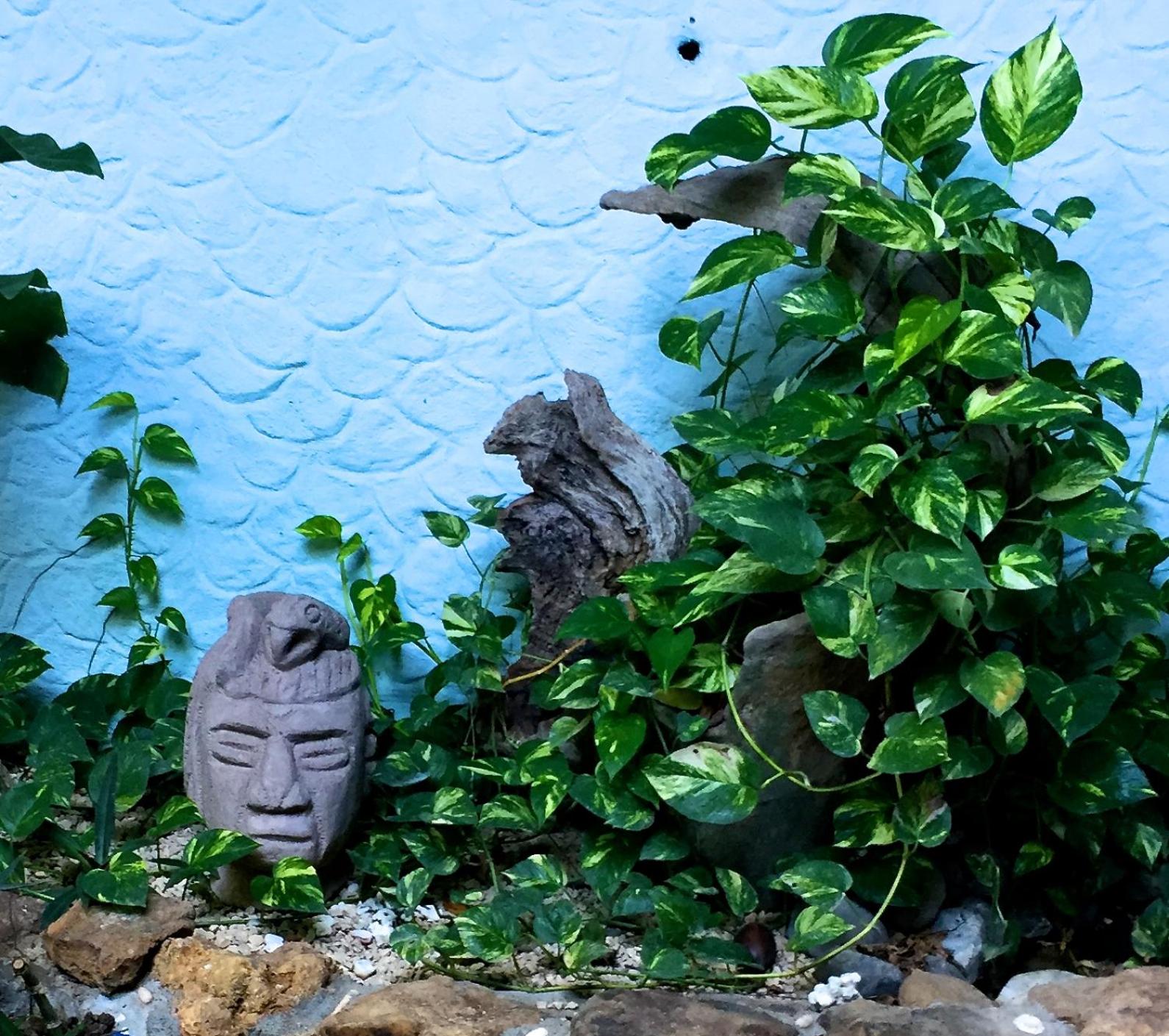 Photo 44