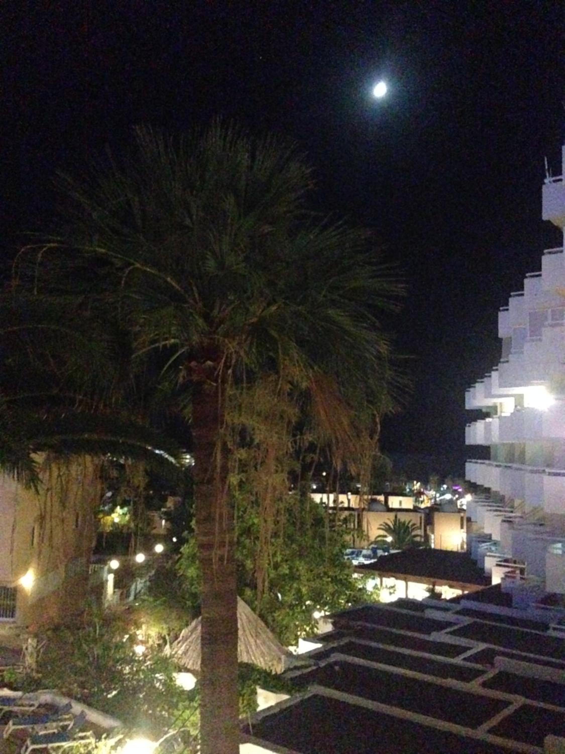 Apart Ponderosa ocean view