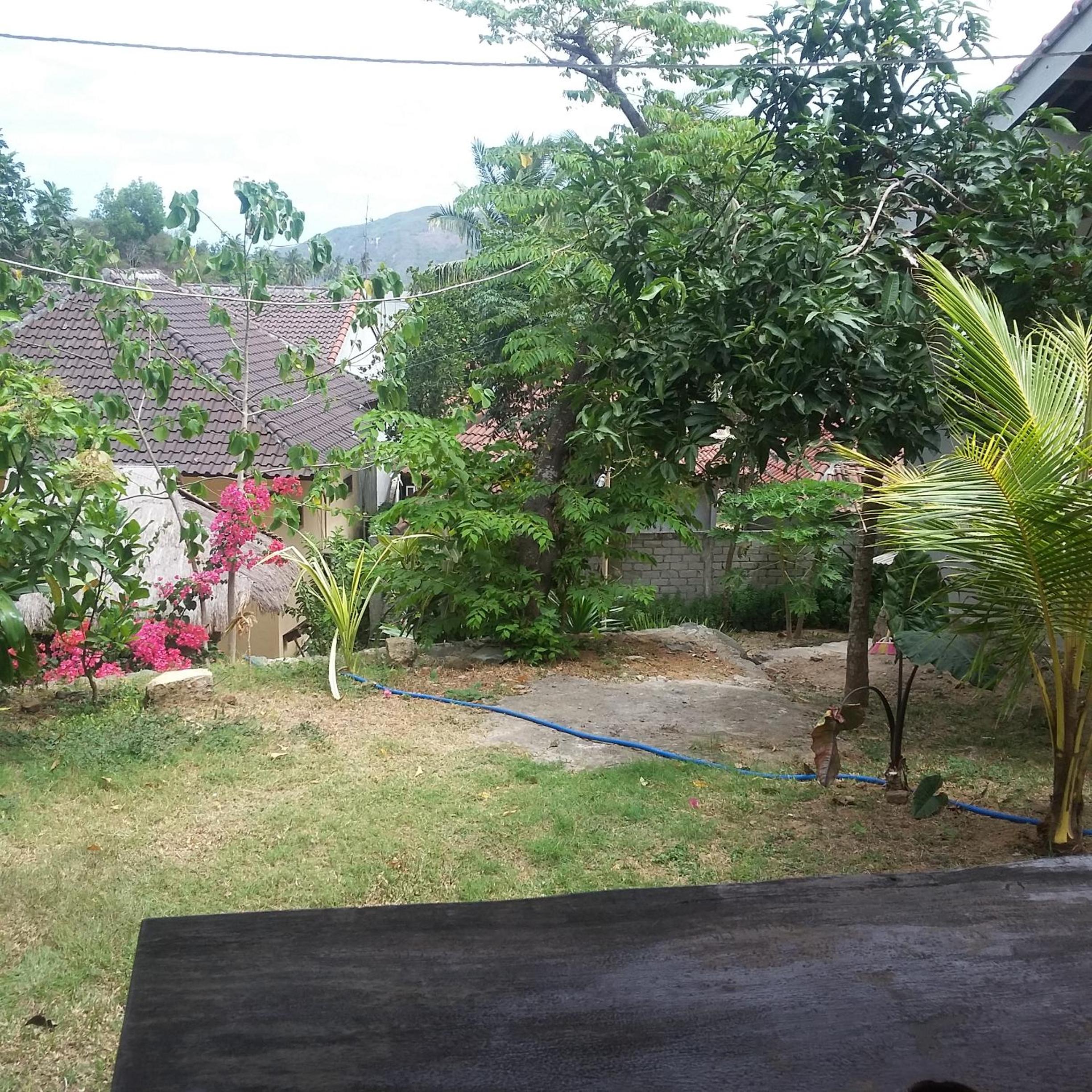 Photo 19