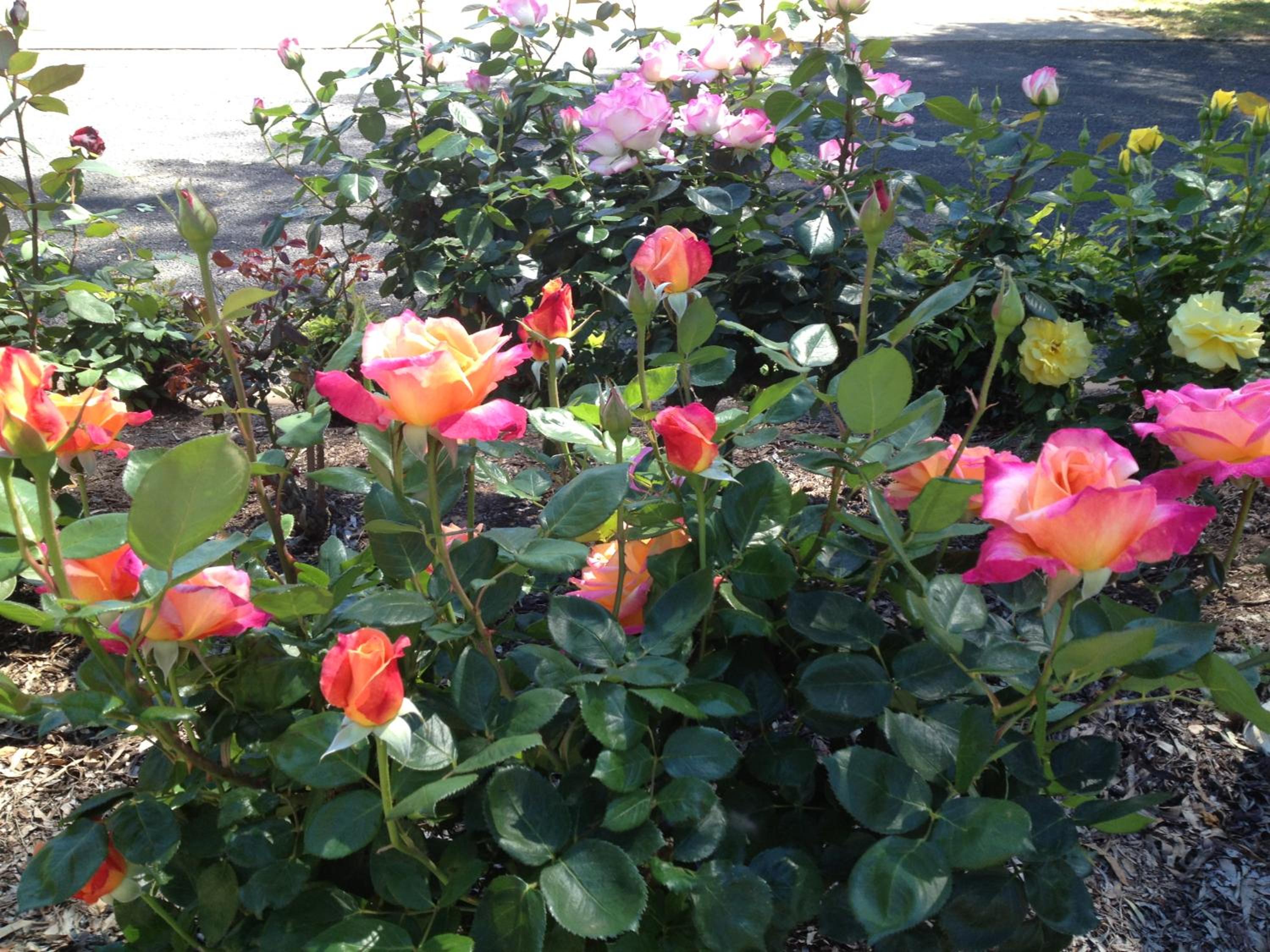 Photo 29