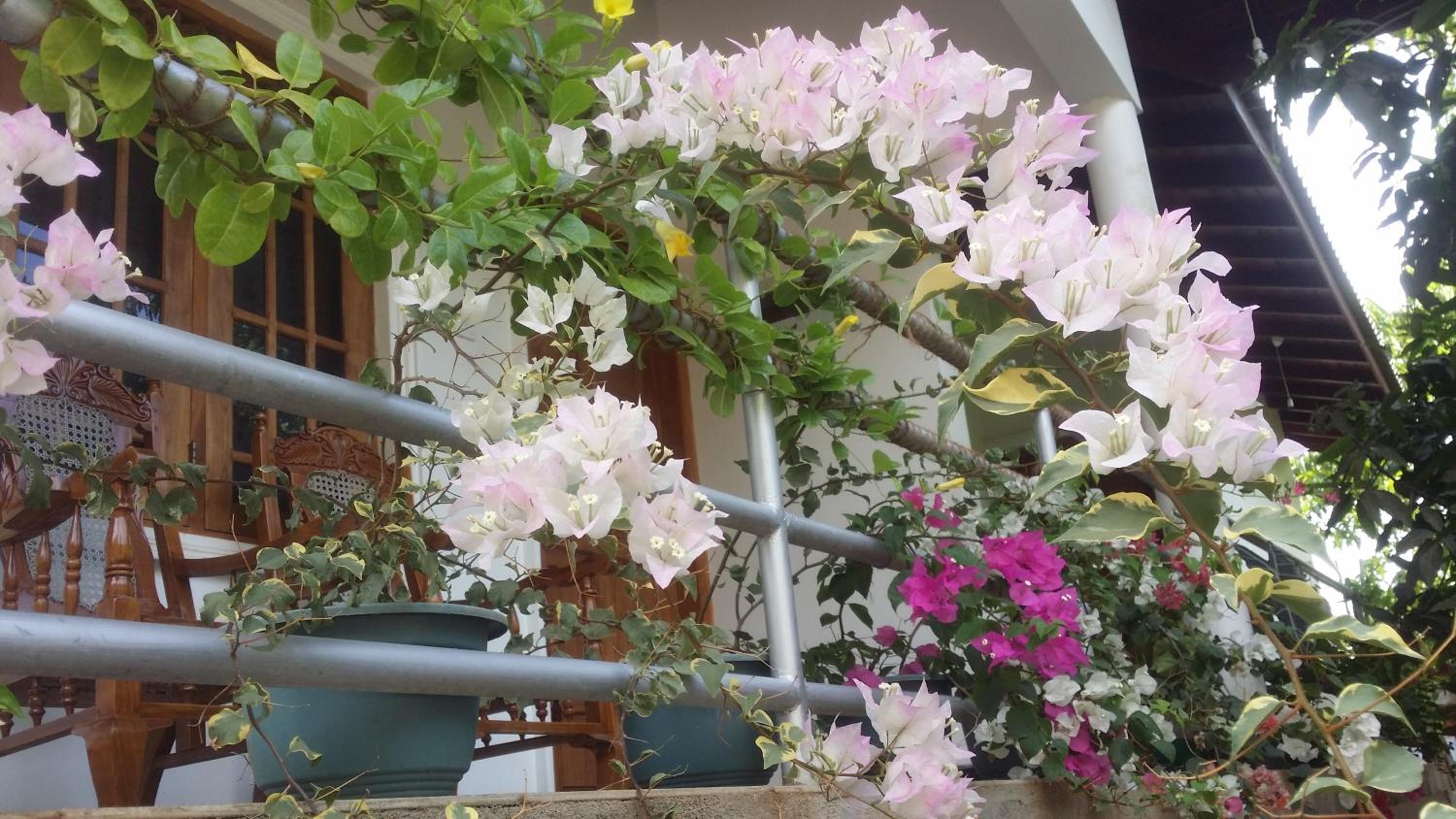 Rich Resort & Restaurant