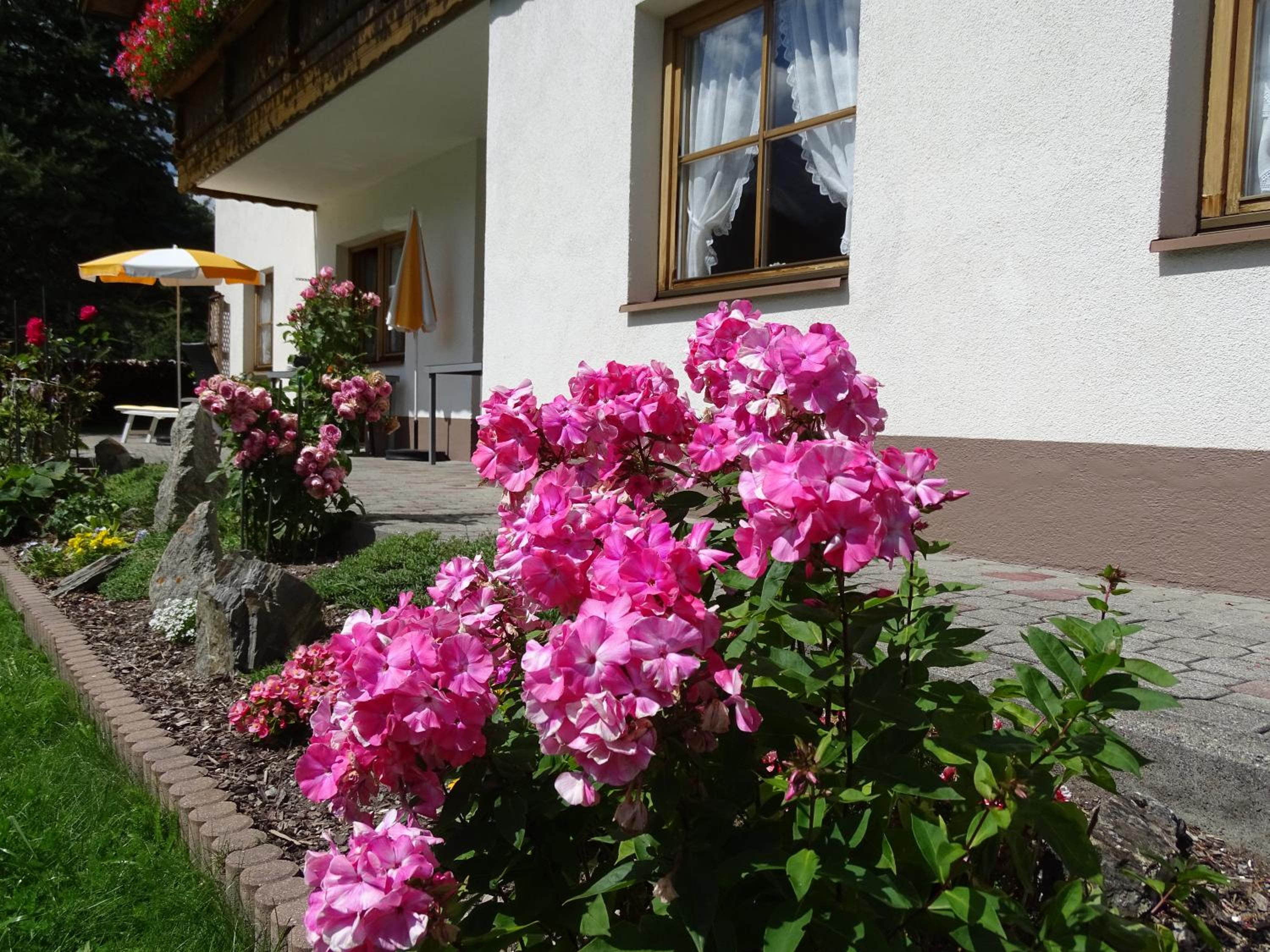 Alpenfrieden - Nauders view 3