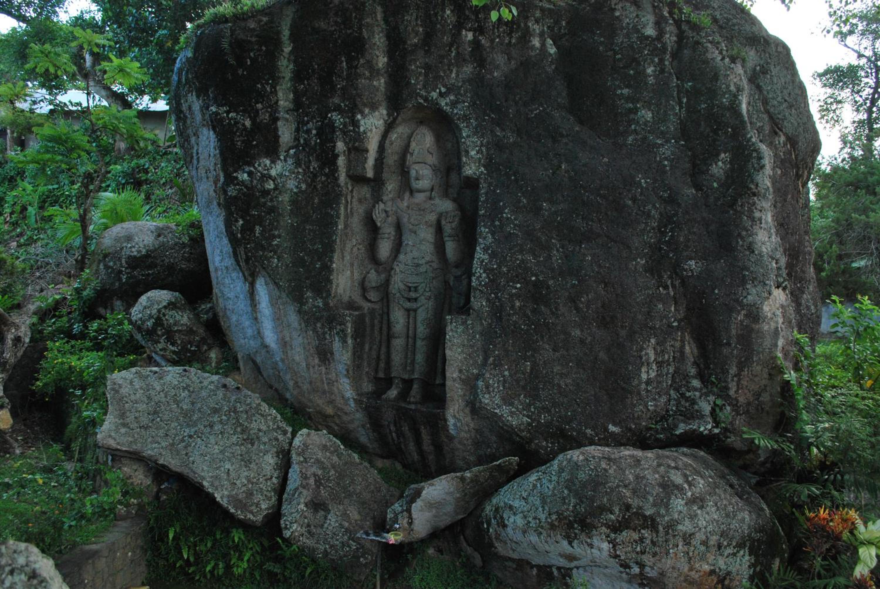 Photo 45