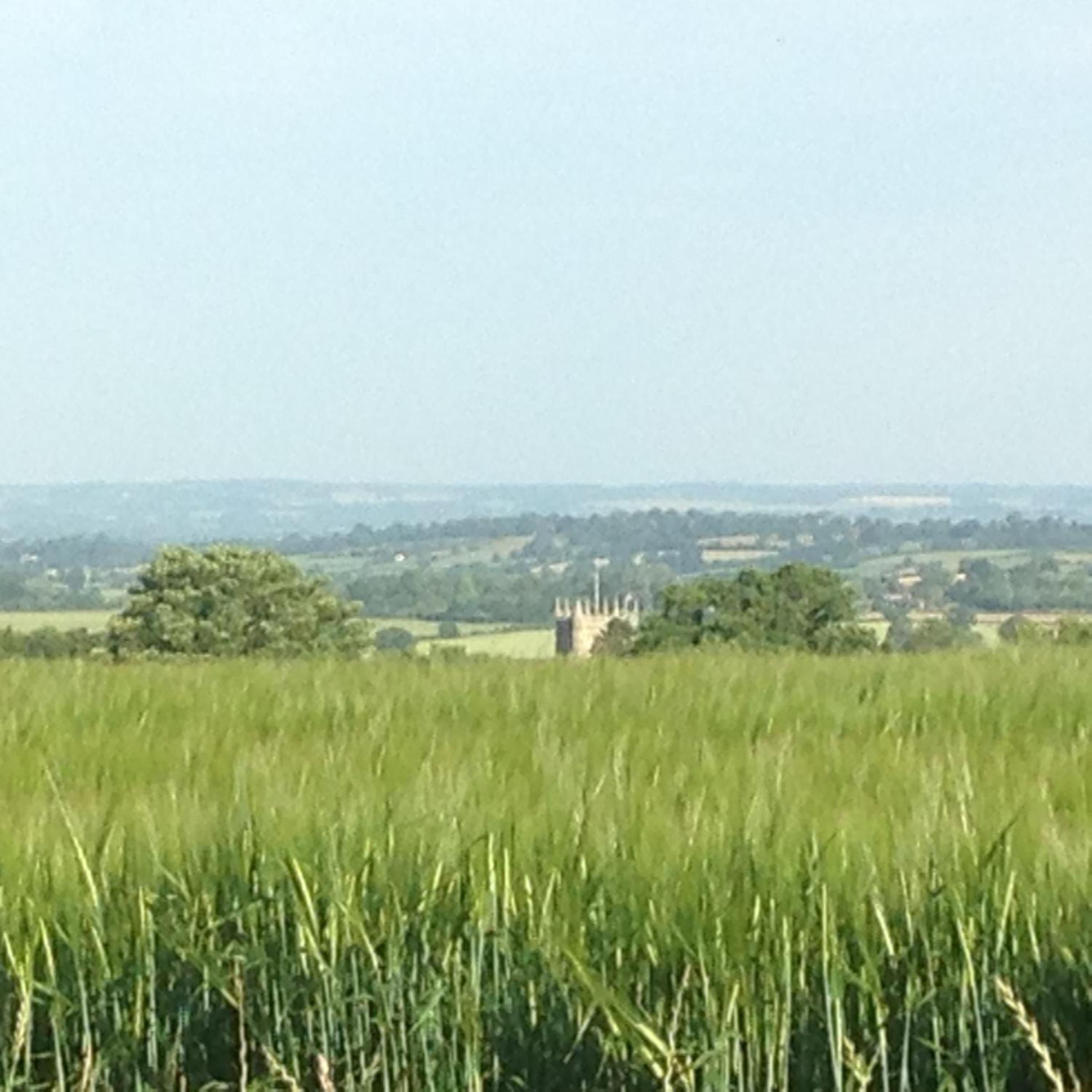 Devizes Vacations - Blounts Court Farm - Property Image 4