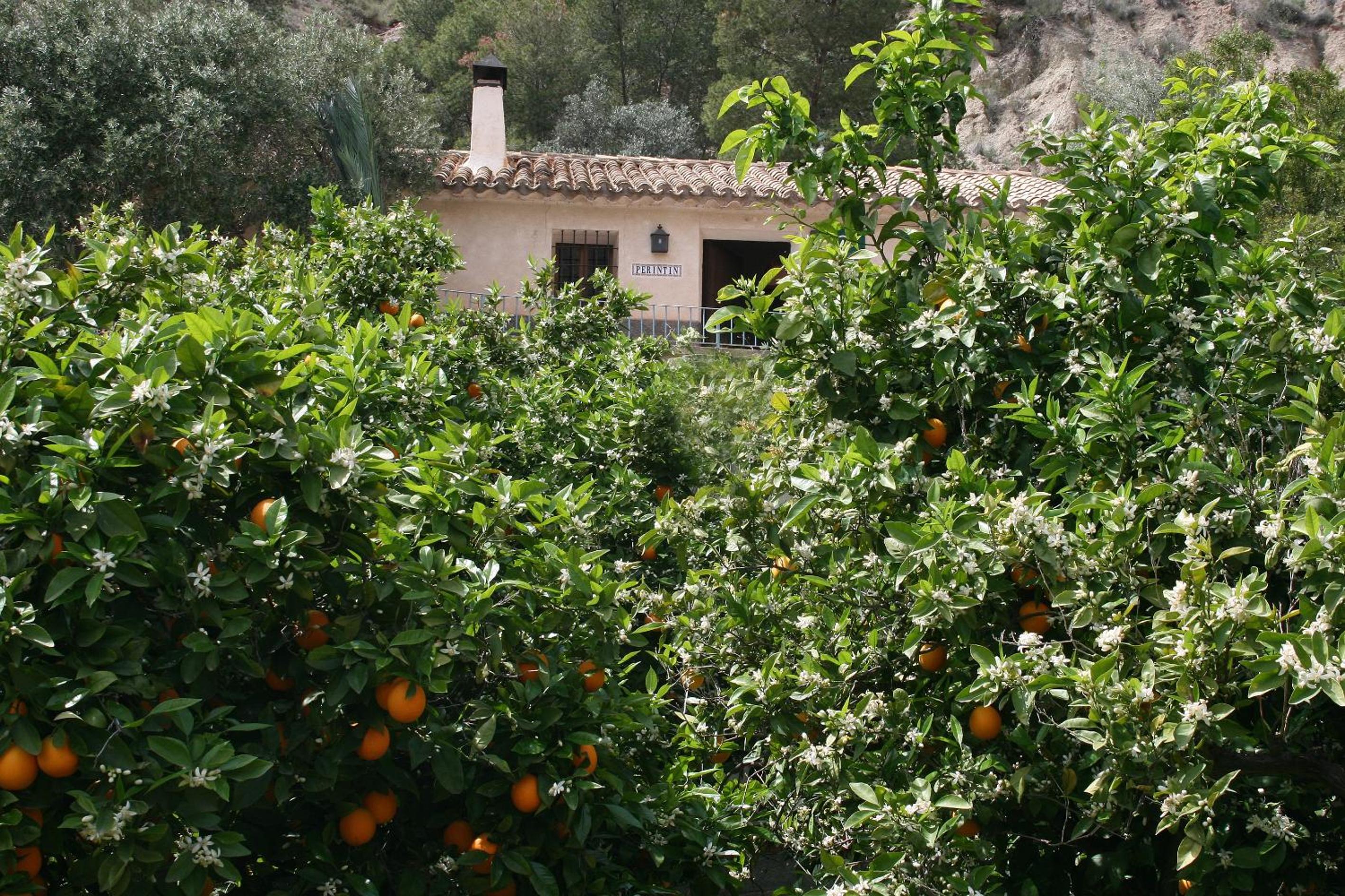 Casica de Perintín Cottage view 5