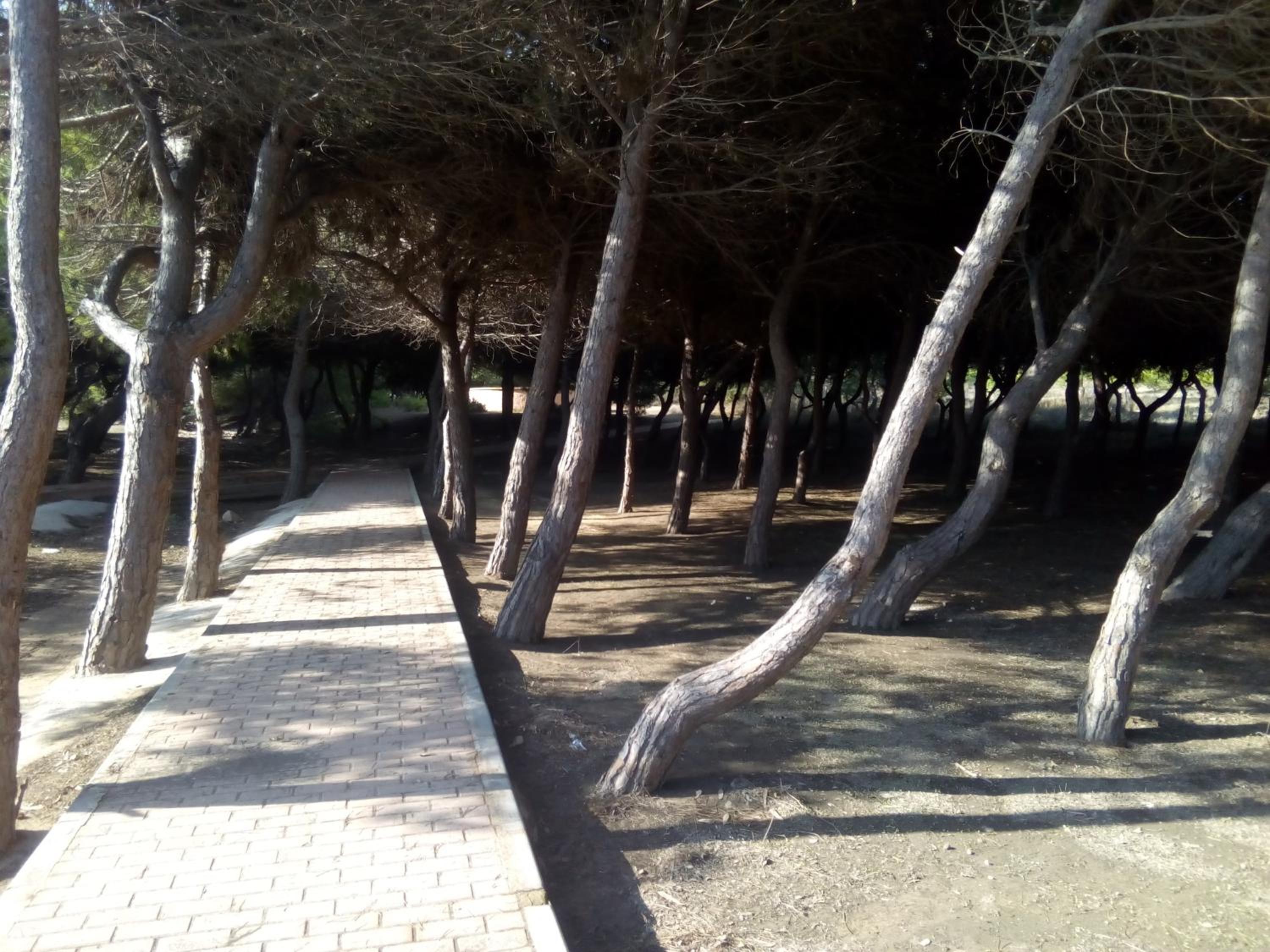 La Mata Cabo Cervera Beach