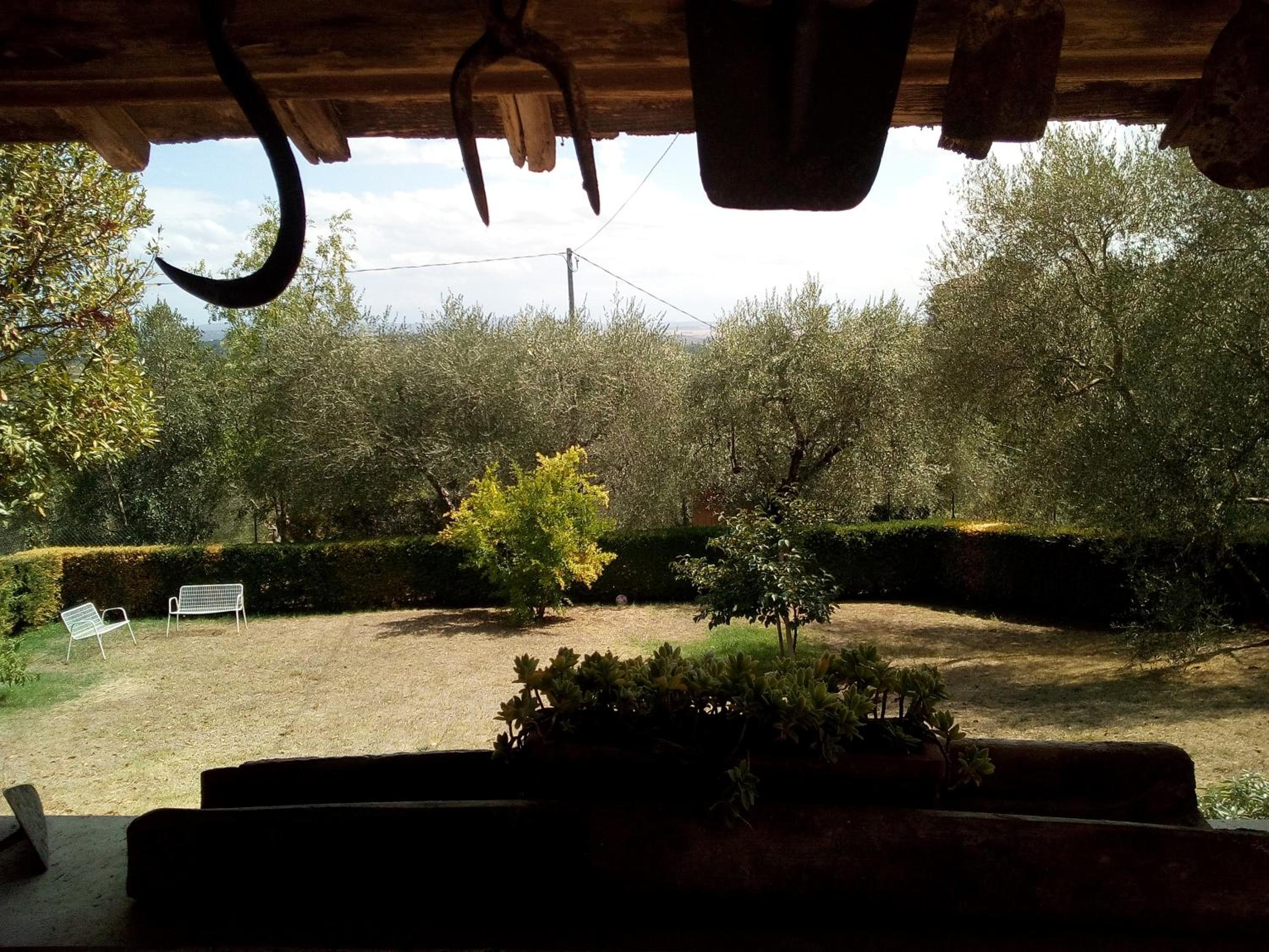 Photo 25