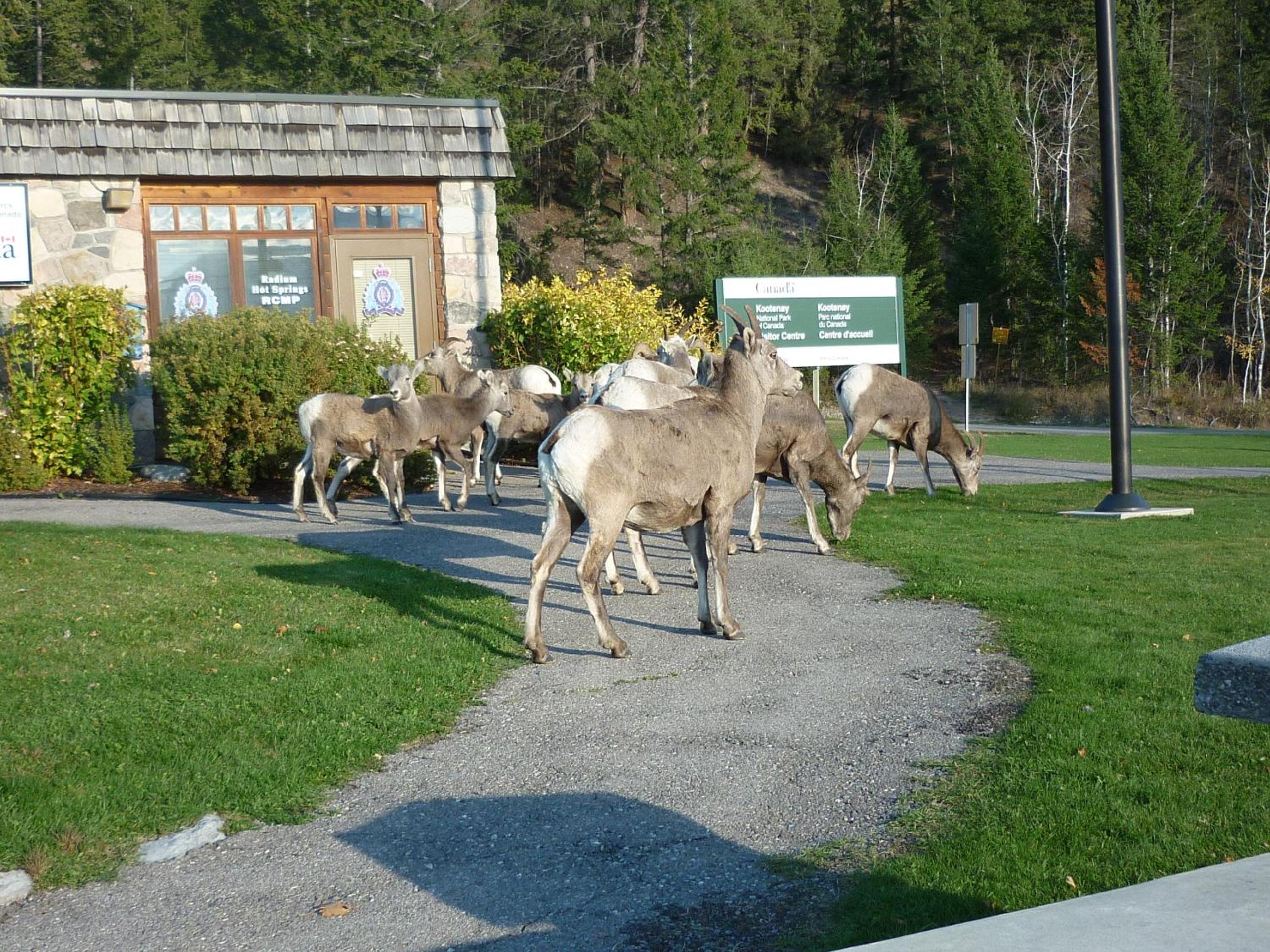 Photo 31
