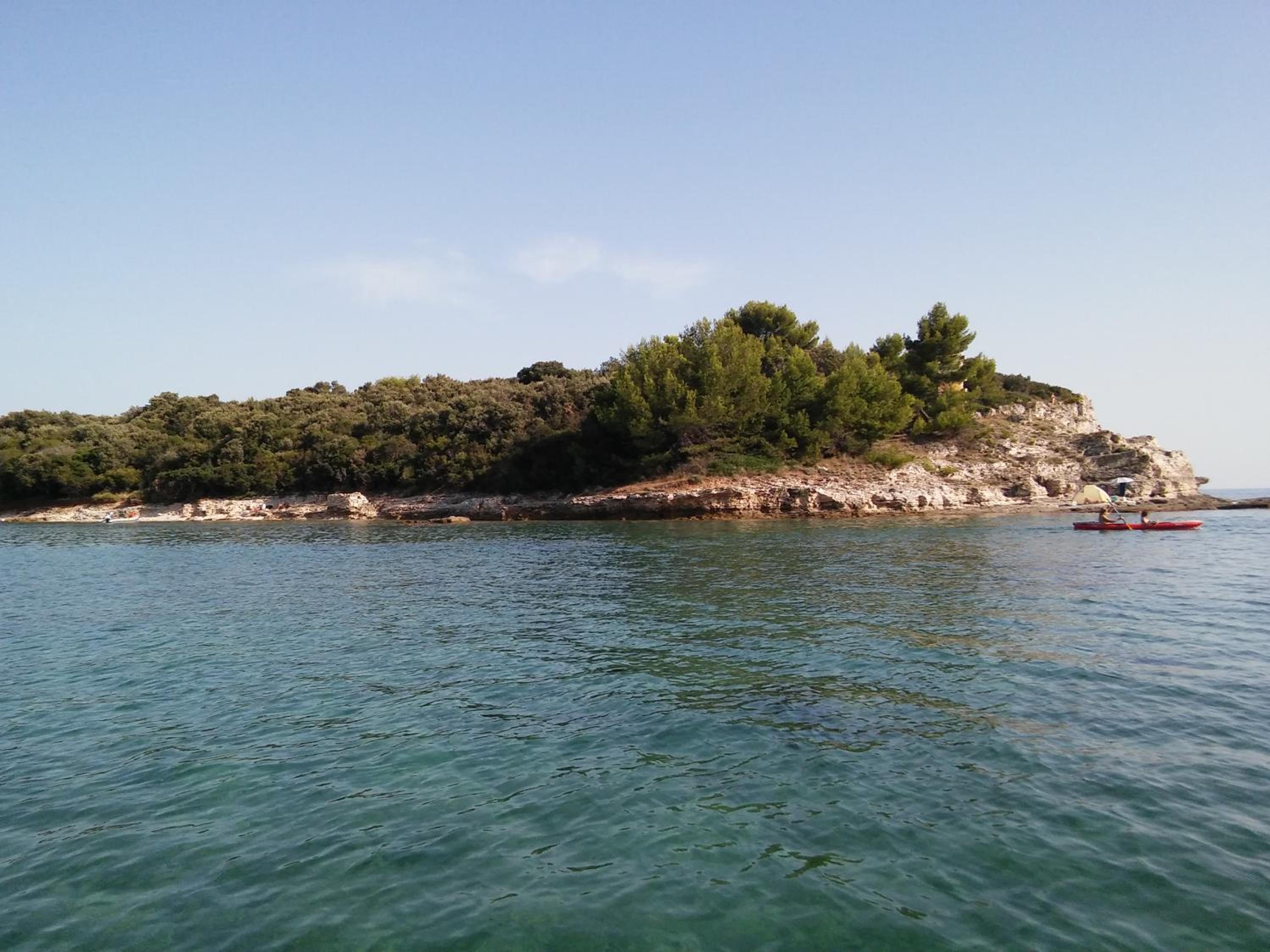 Photo 42
