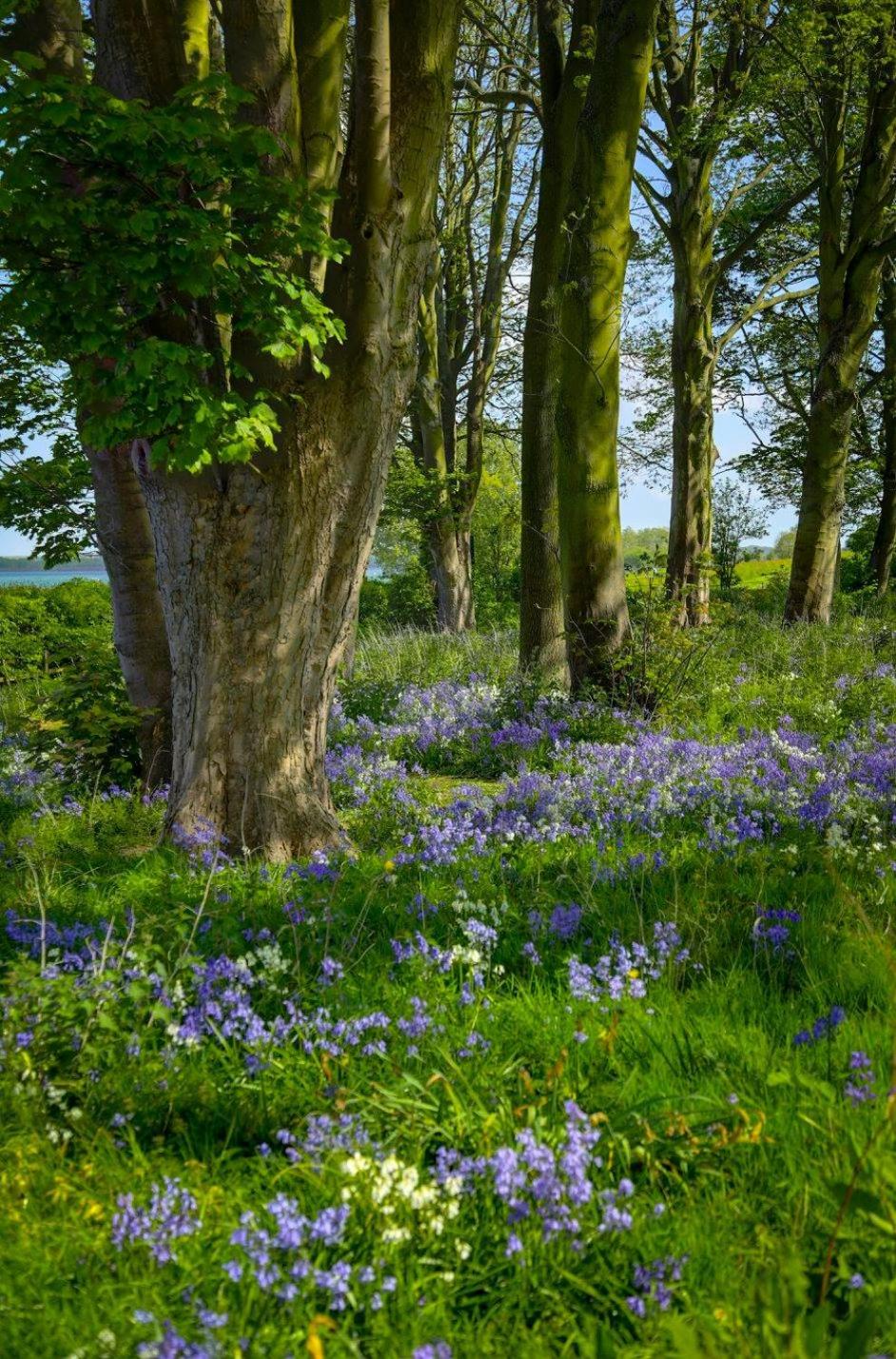 Oakham Vacations - Normanton Park Hotel, Sure Hotel Collection by Best Western - Property Image 78