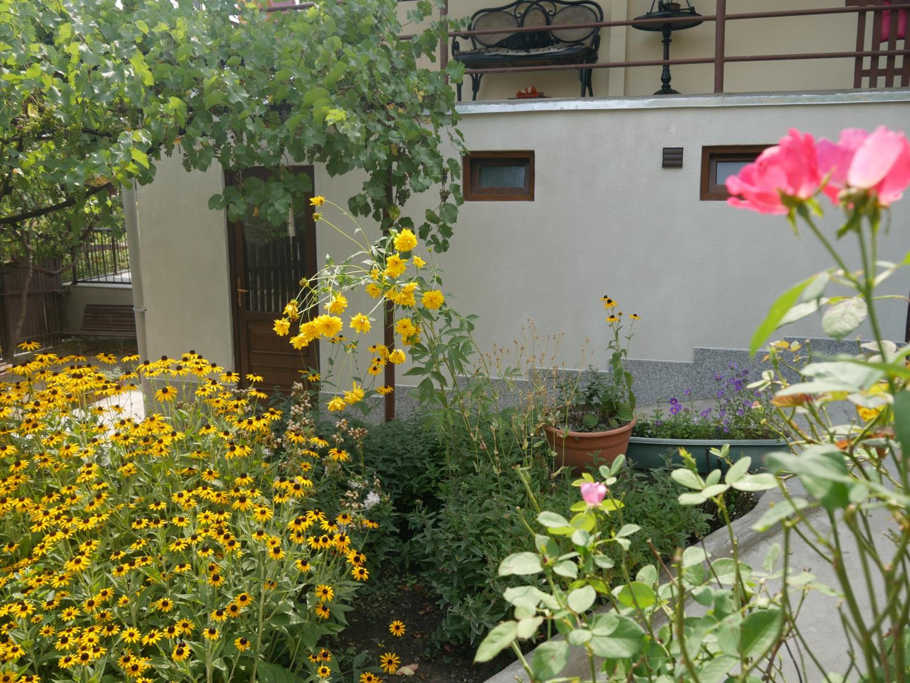 Photo 16