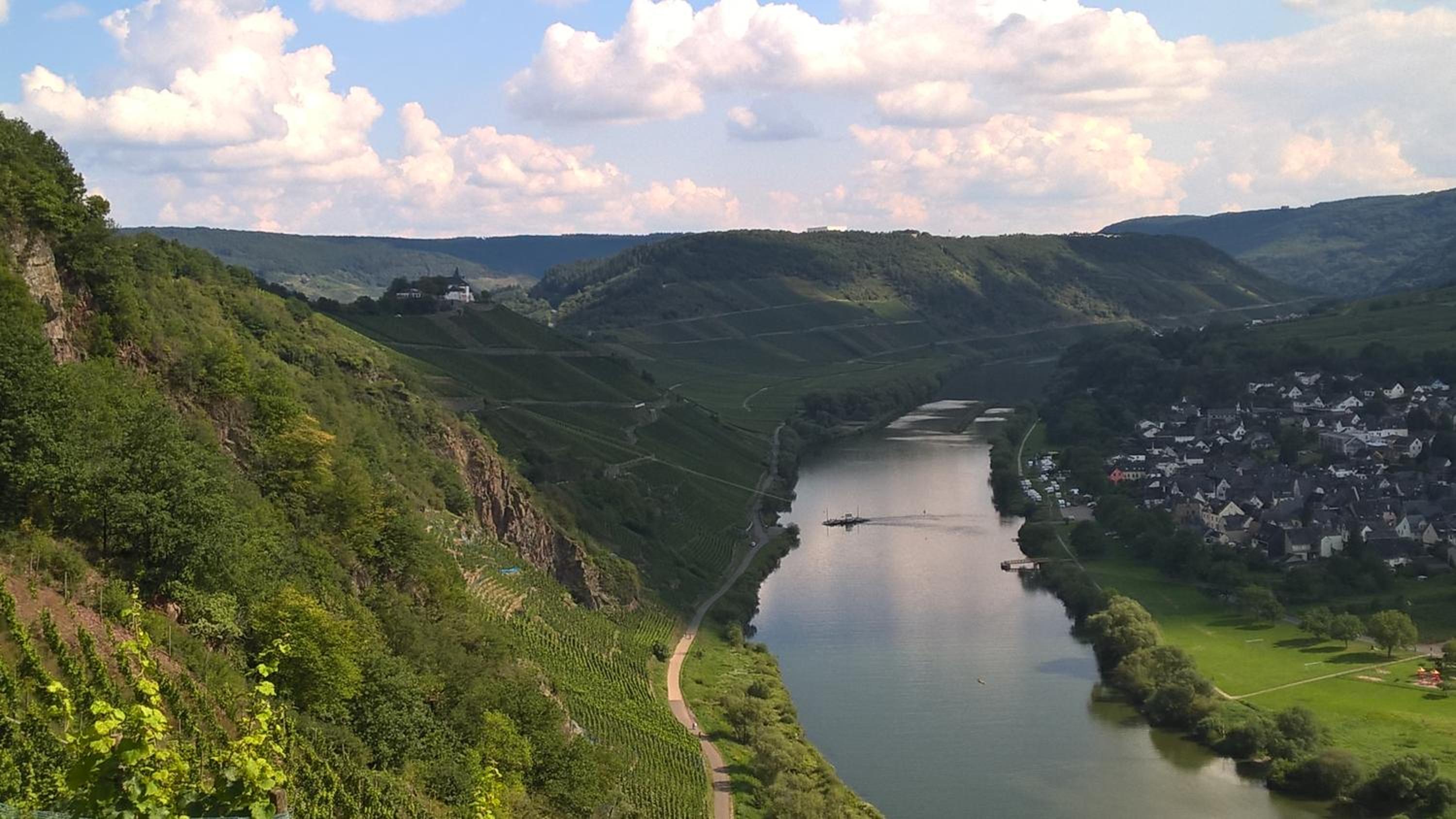 Mosel Ausblick