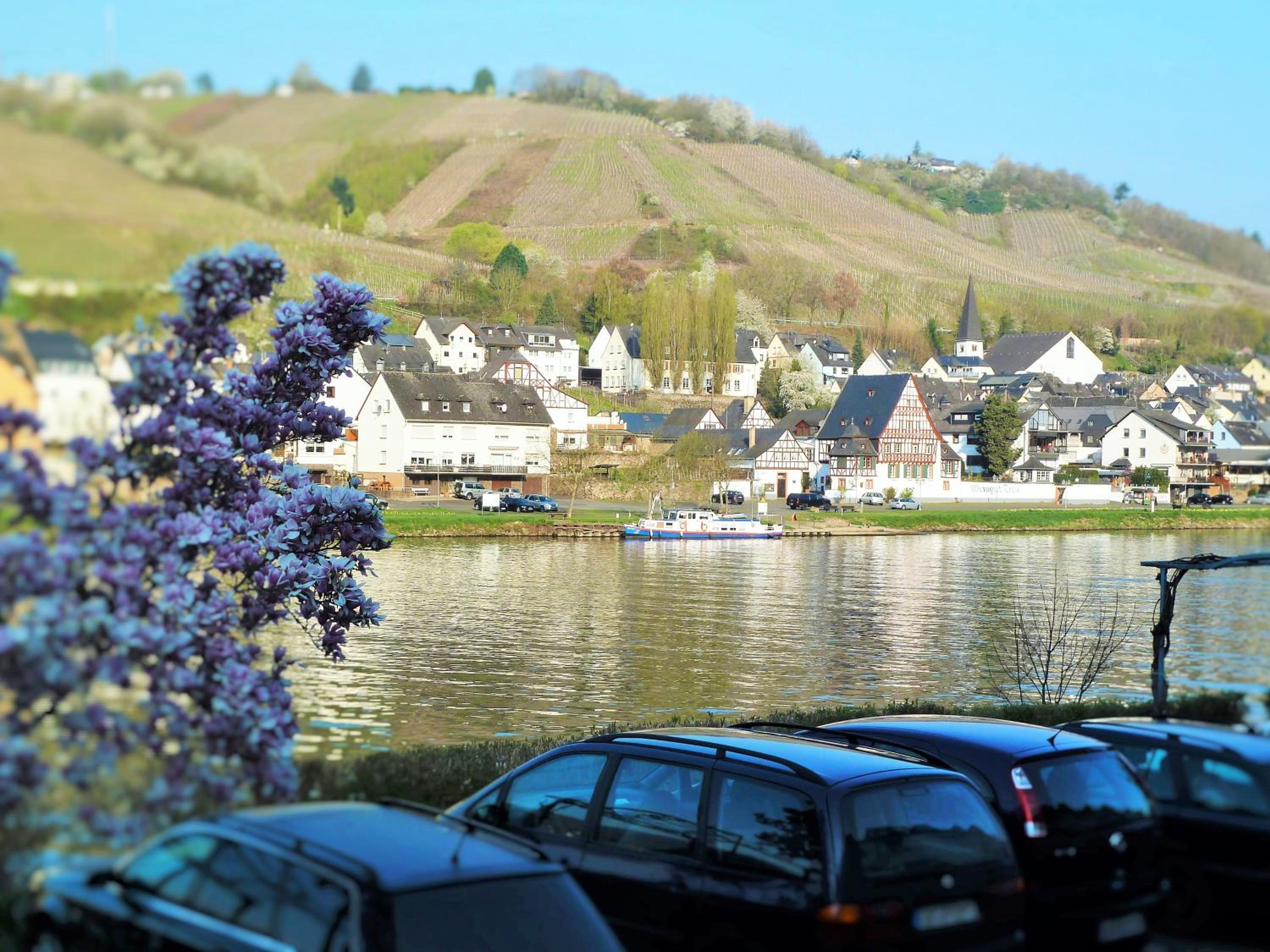 Mosel Ausblick