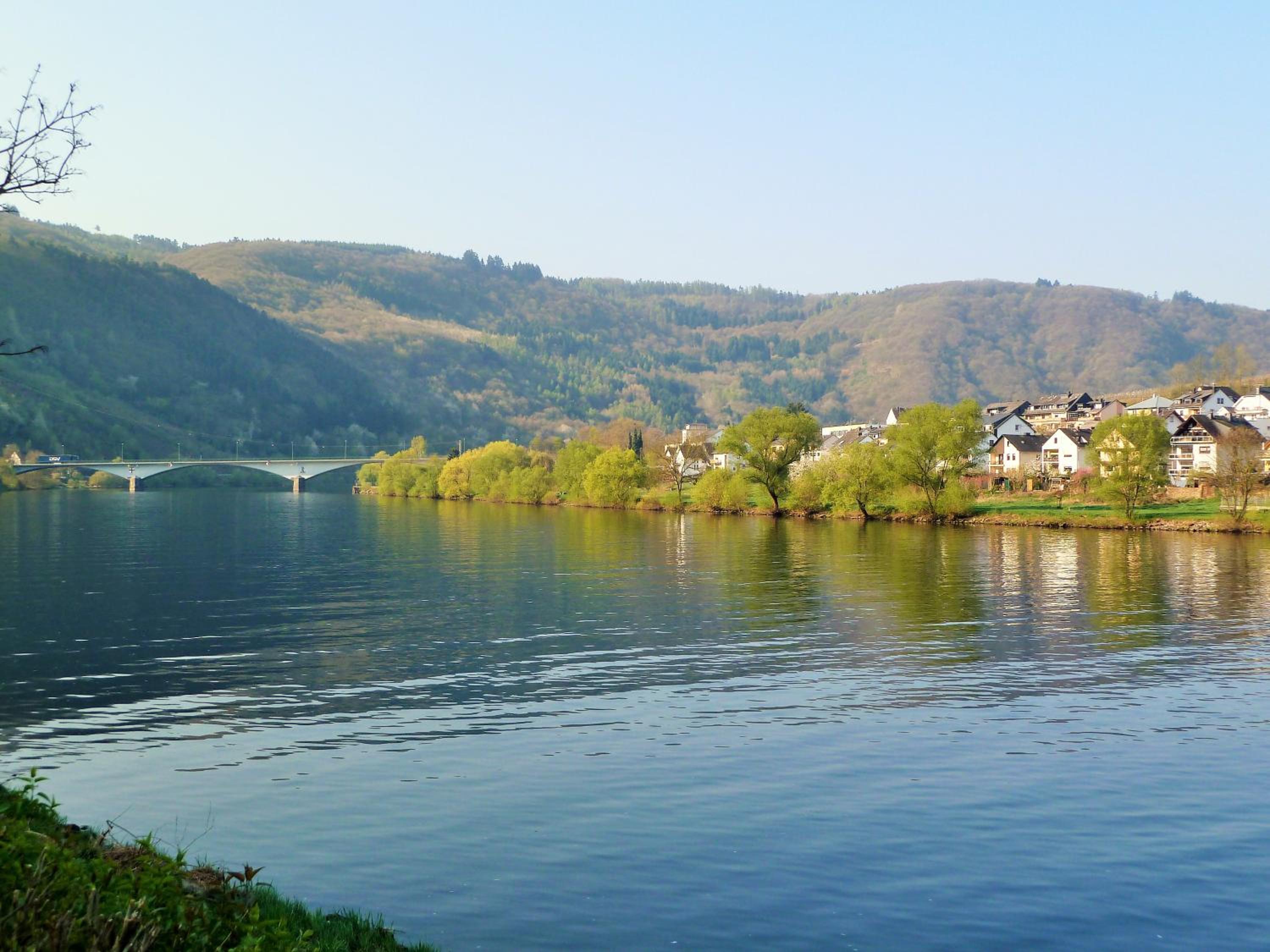 Mosel Ausblick