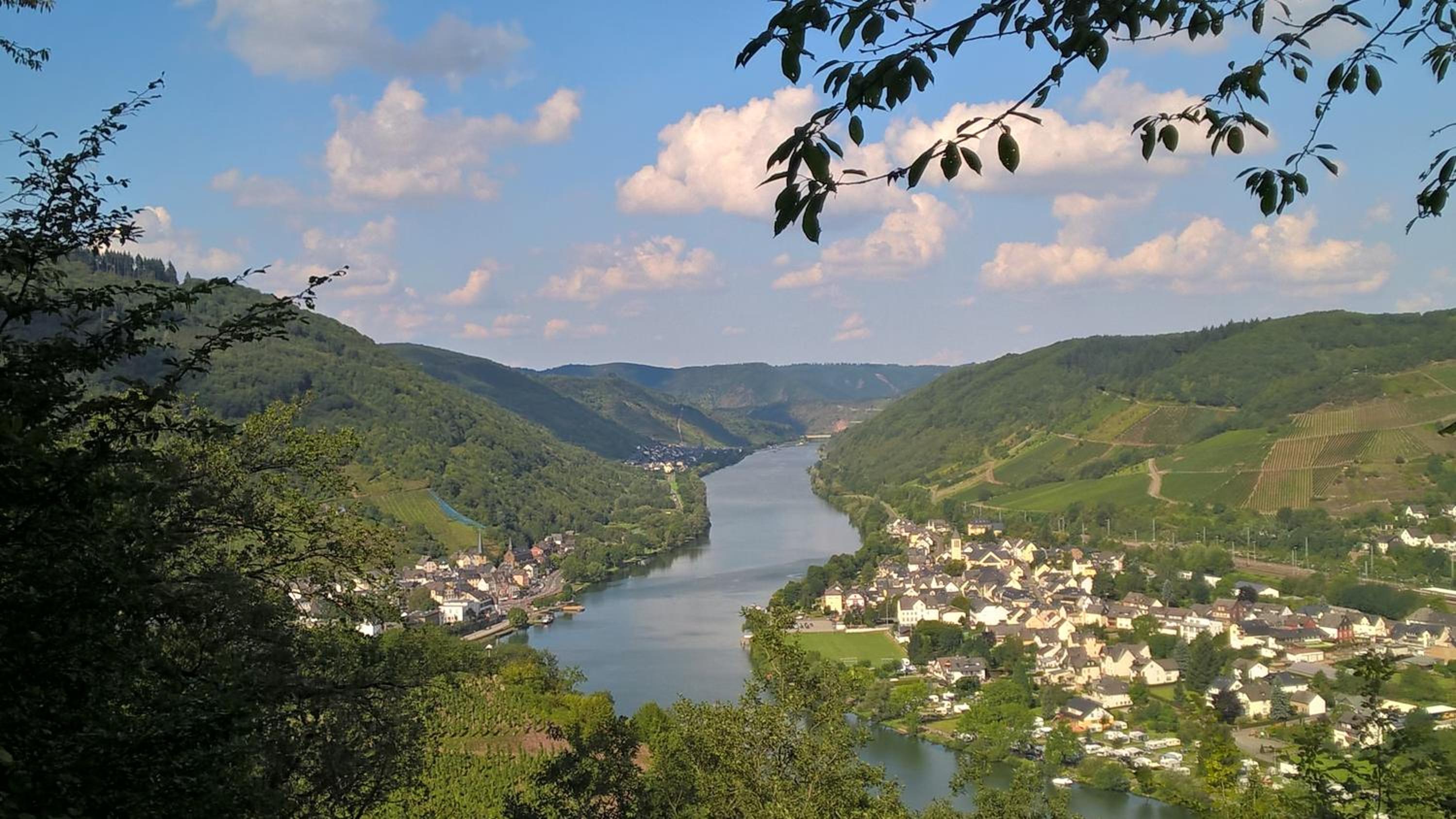 Mosel Ausblick