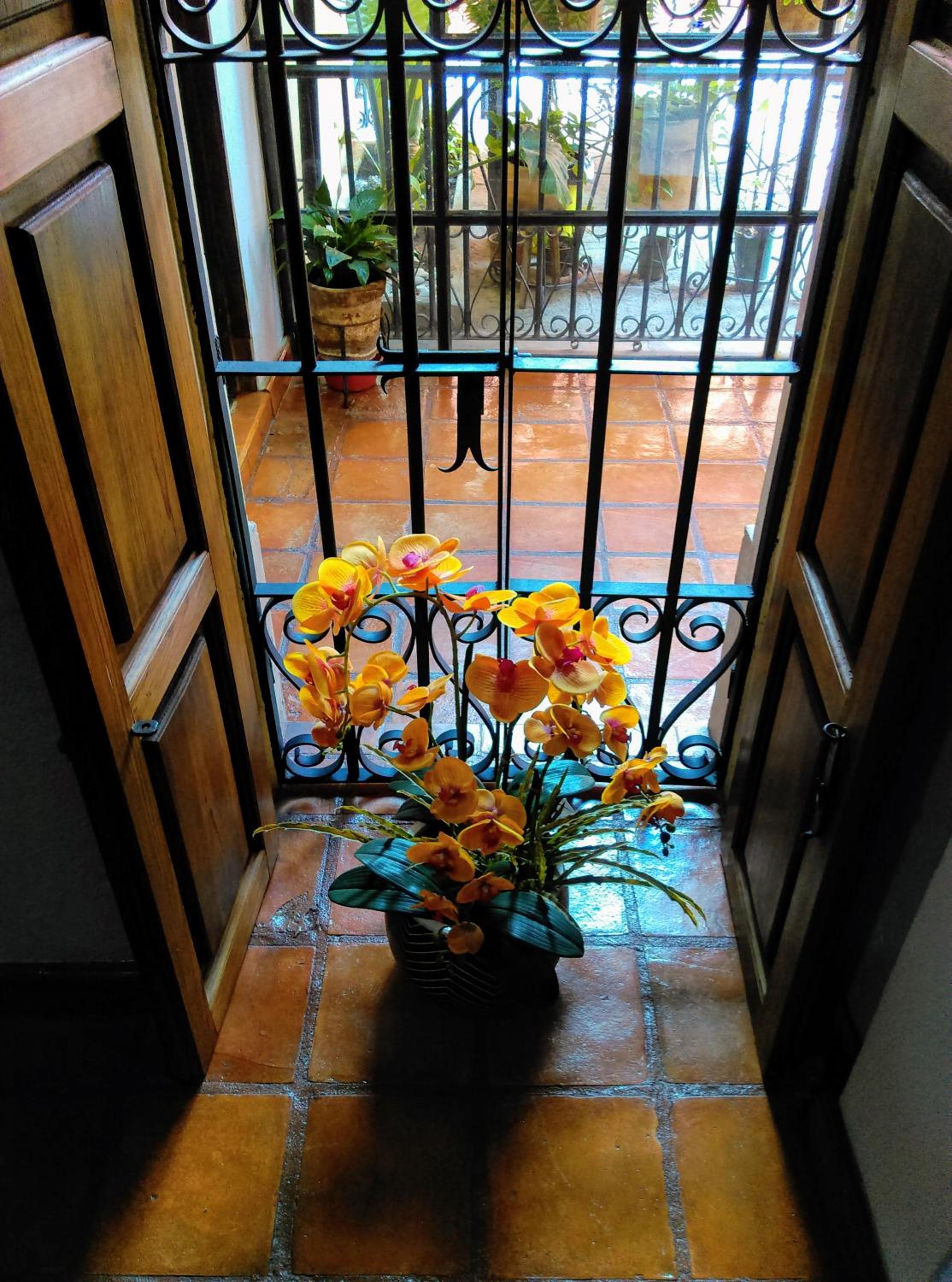Photo 18