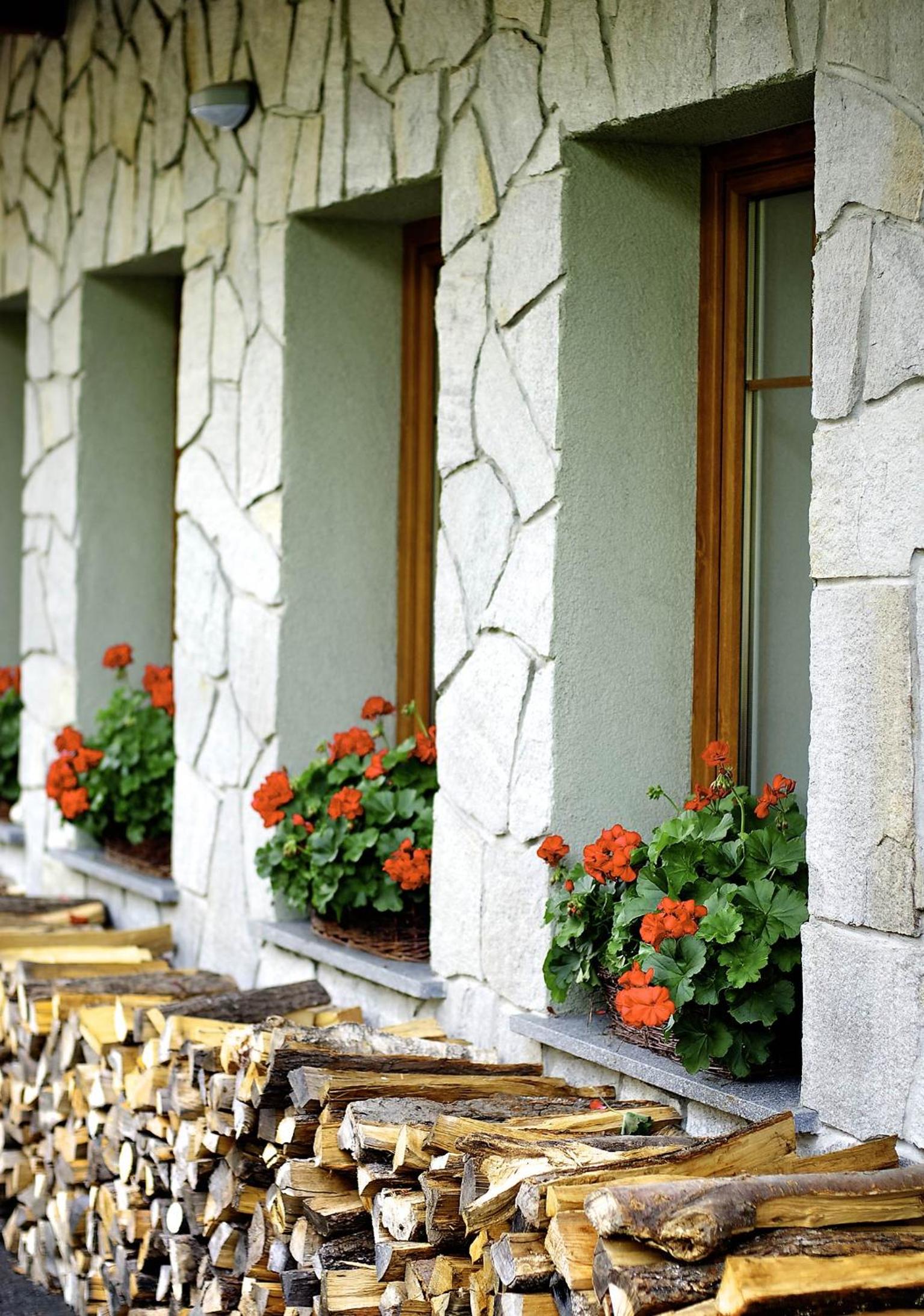 Villa Krejza