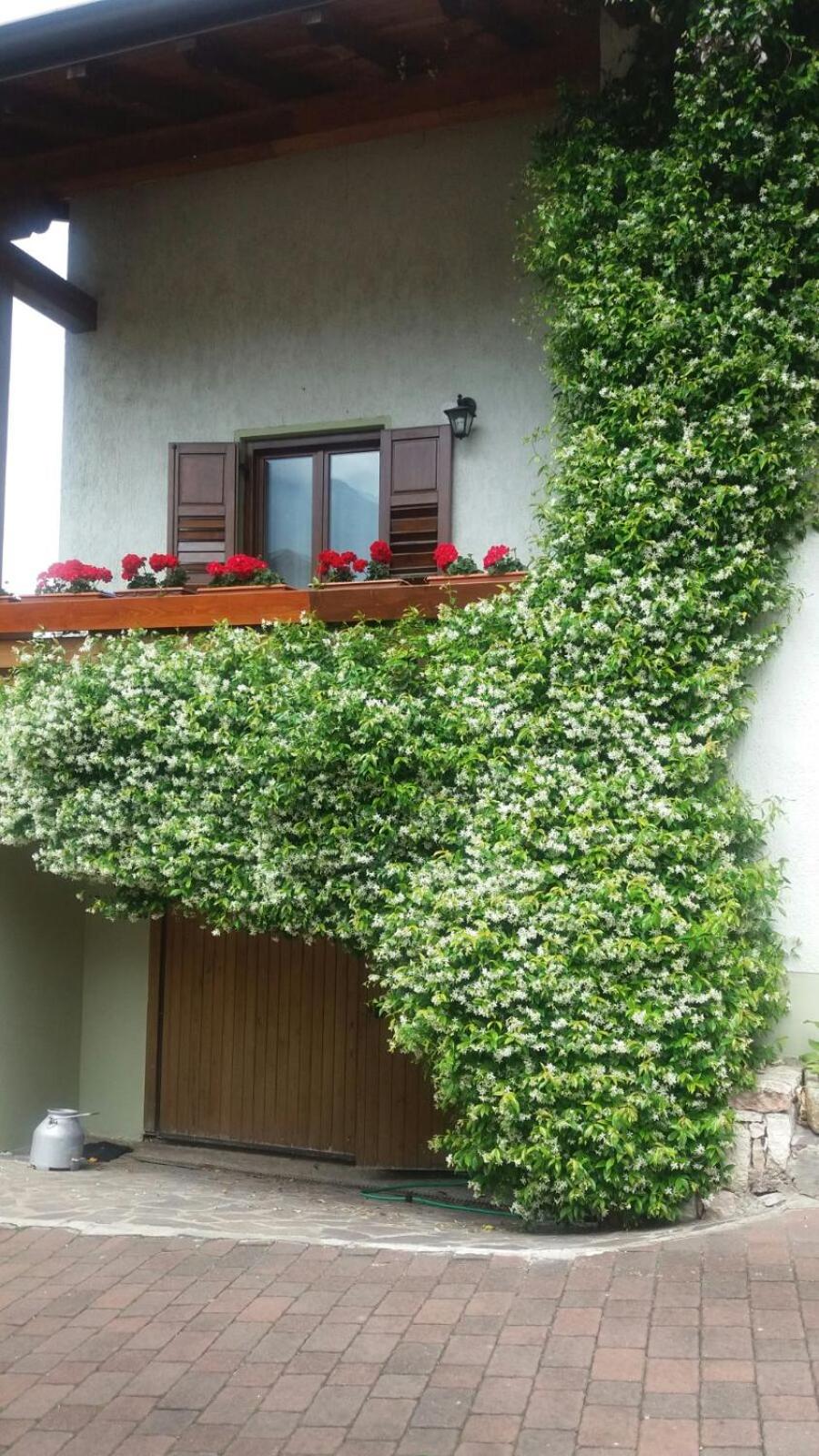 La Casa Del Gelsomino view 3