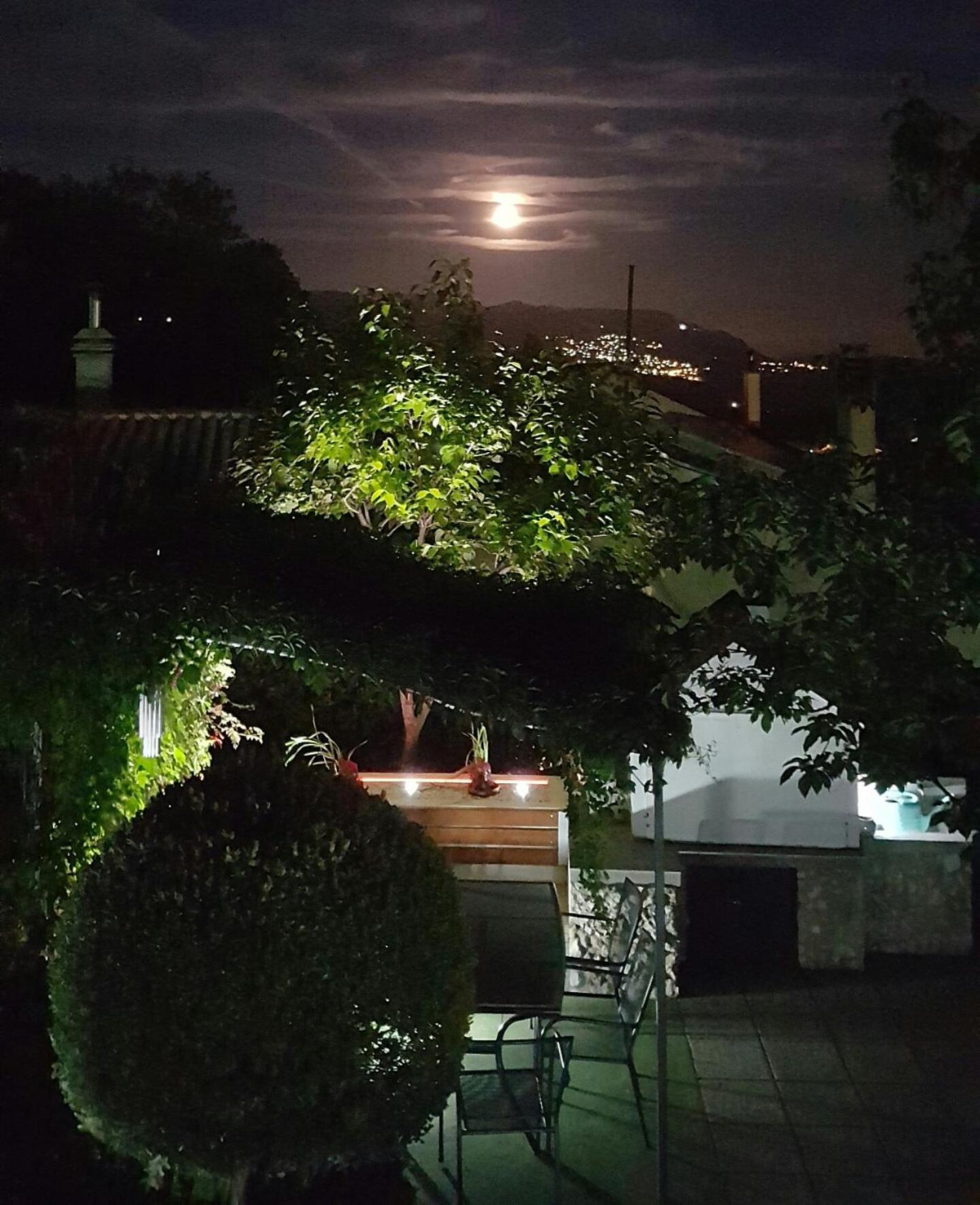Photo 35