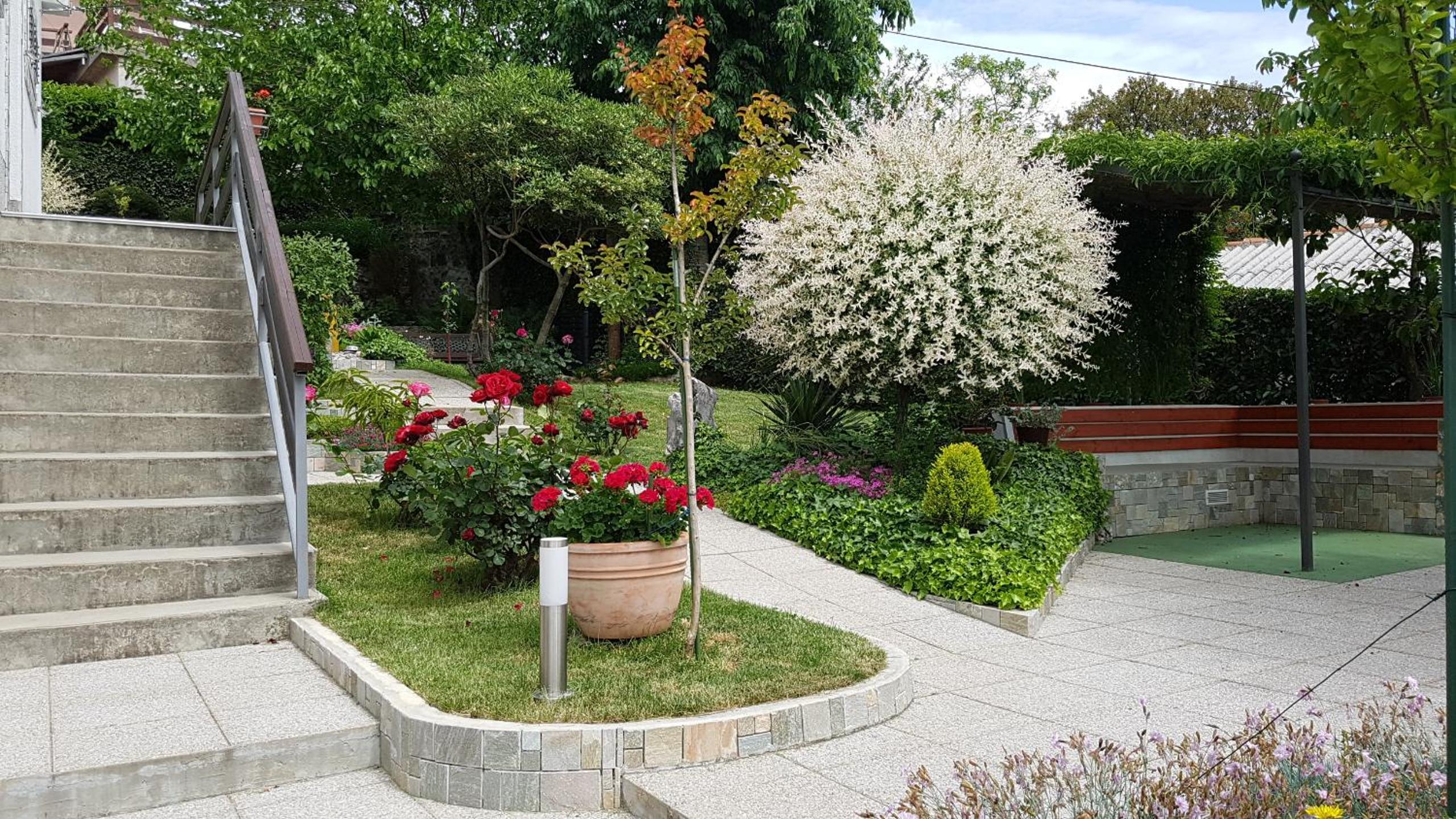 Photo 43
