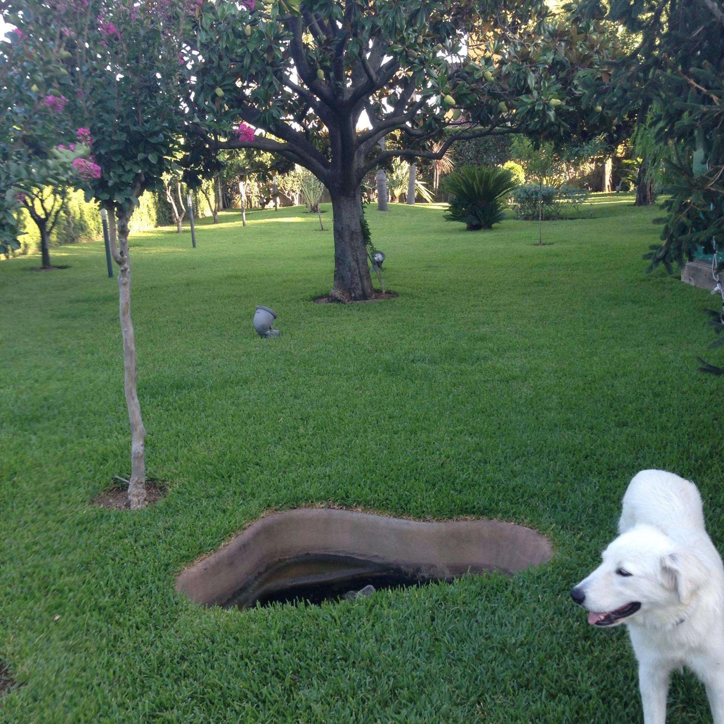 Photo 34