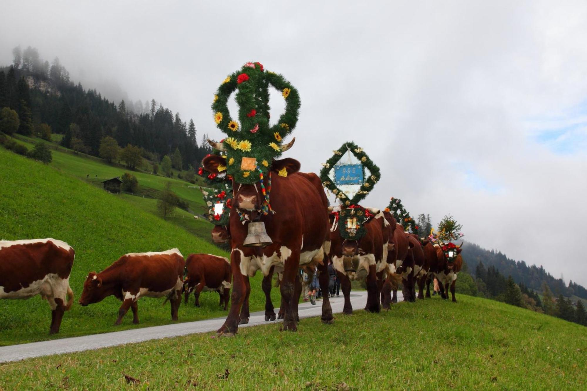Zirbenchalet Eggriedl