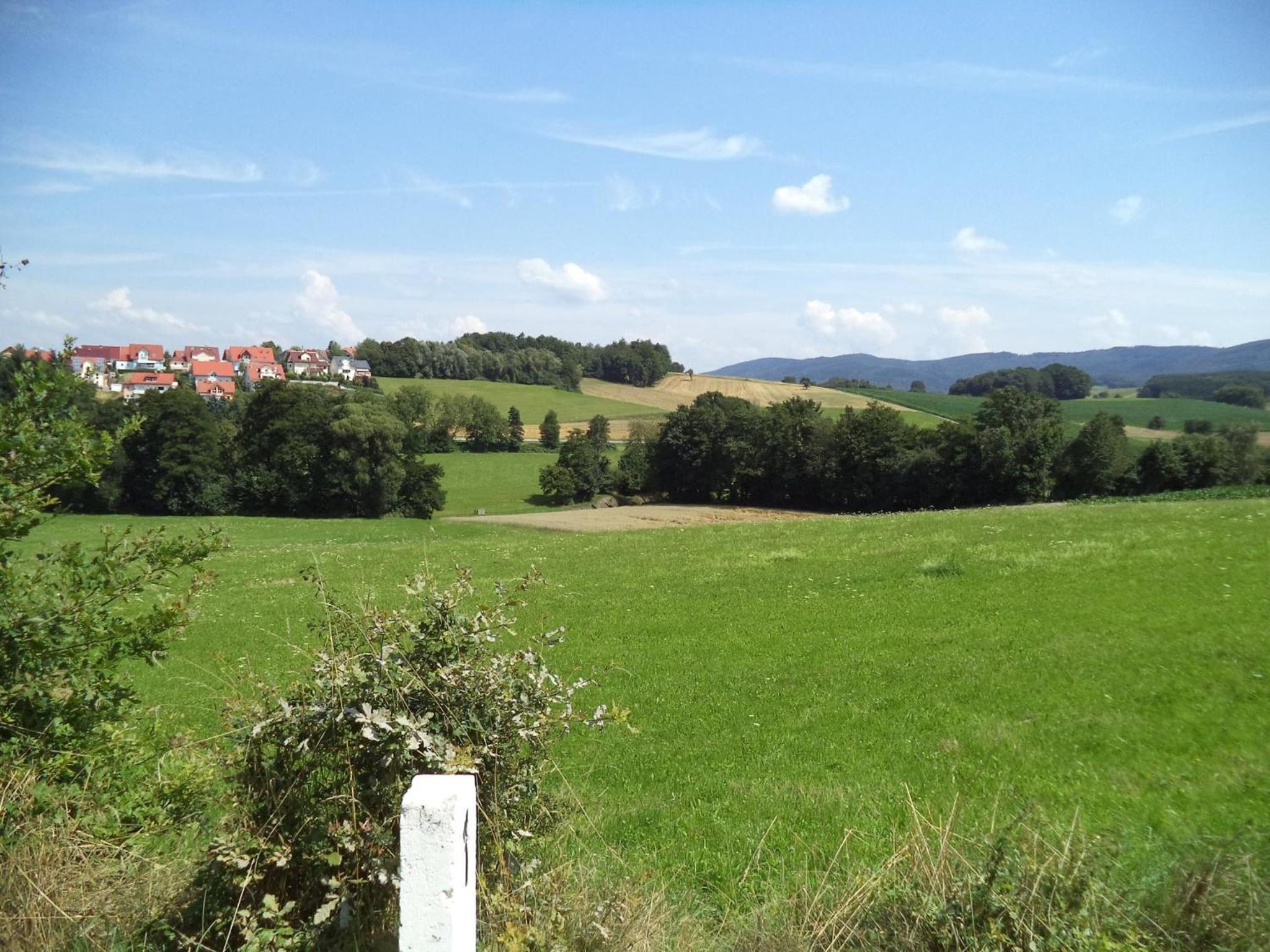 Photo 45
