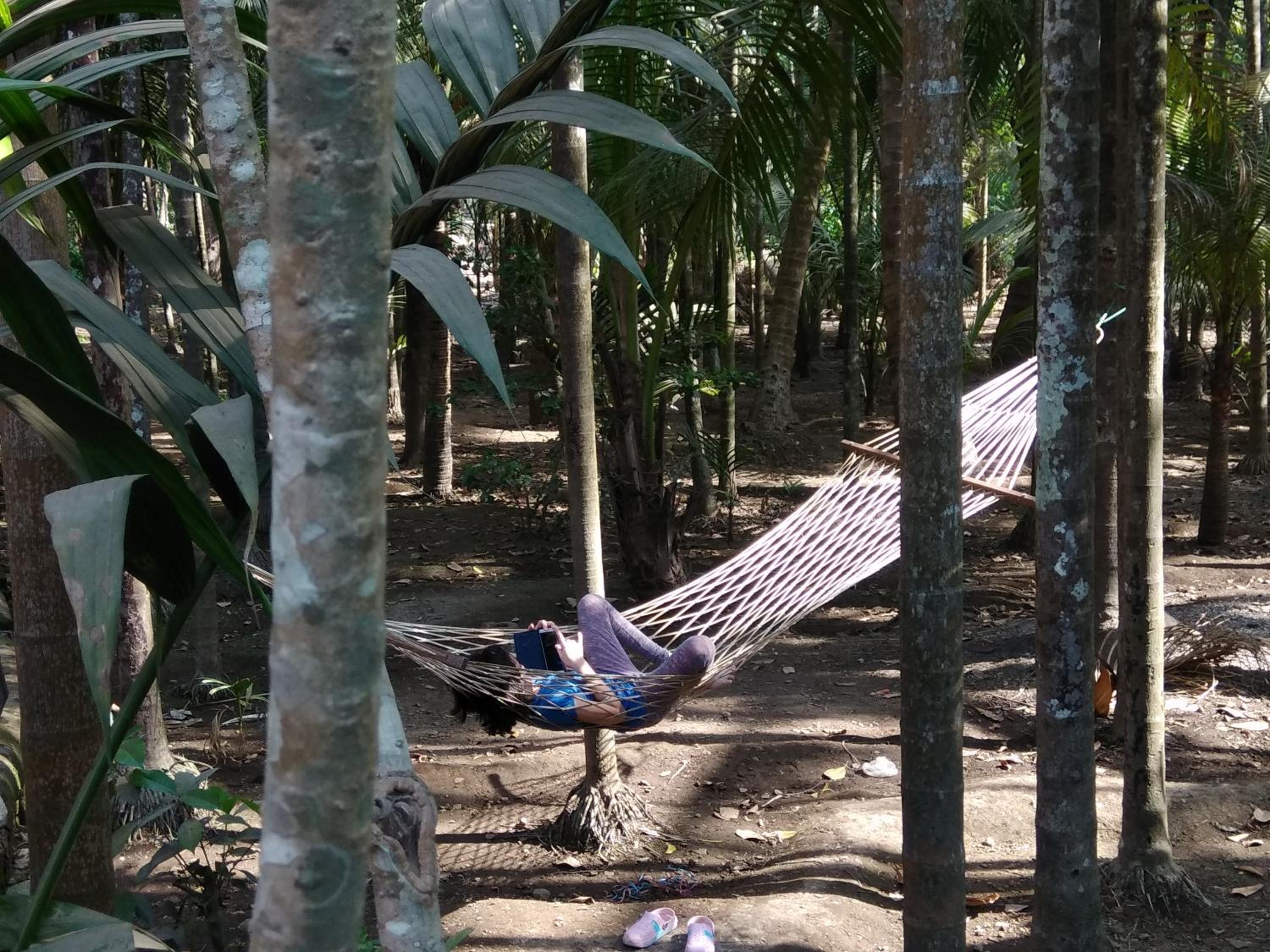 Nivaant @ Vicharays, photo 15
