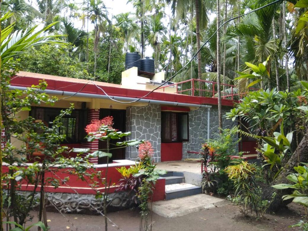 Nivaant @ Vicharays, photo 29