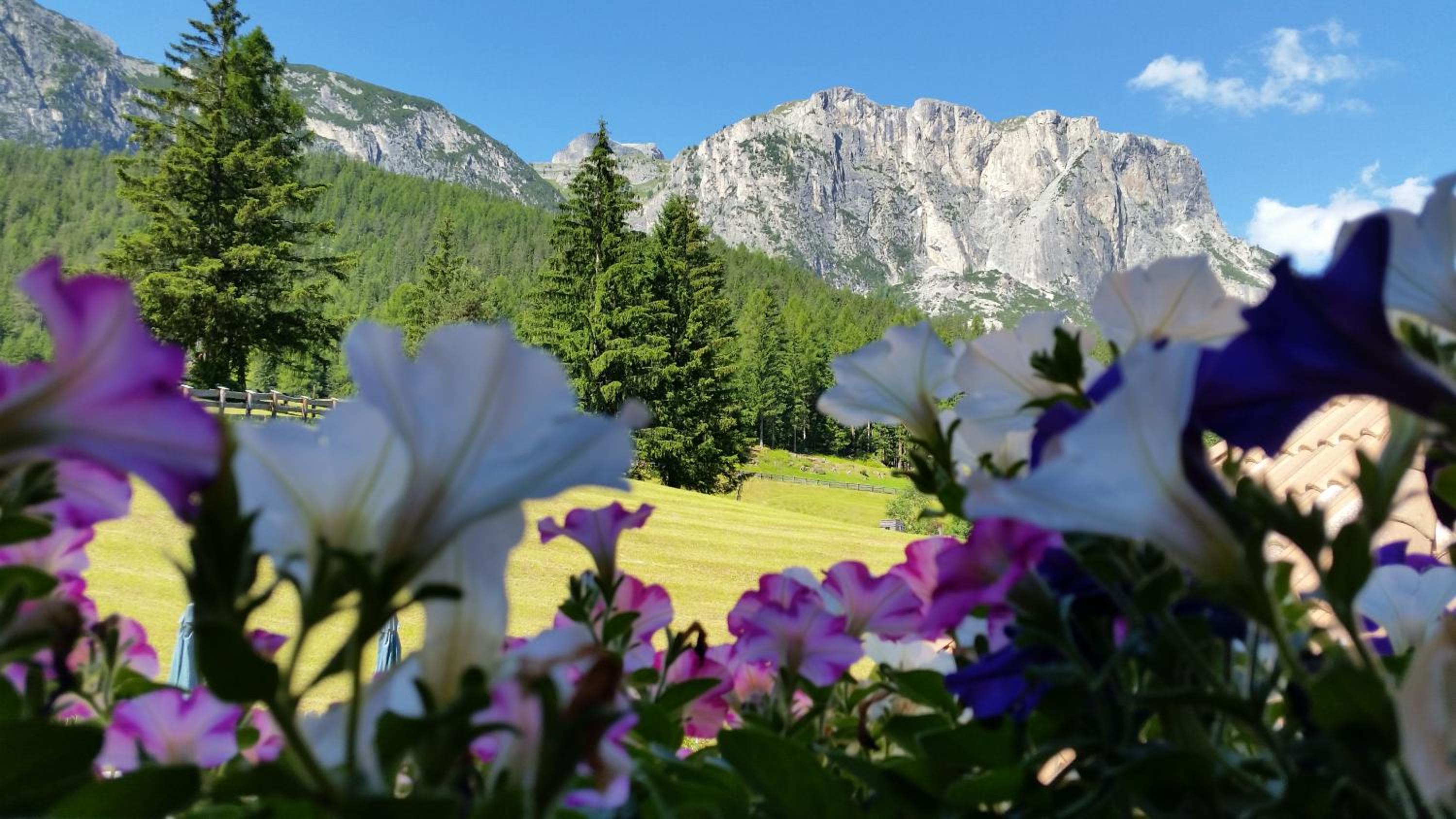 Chalet alla Cascata view 5