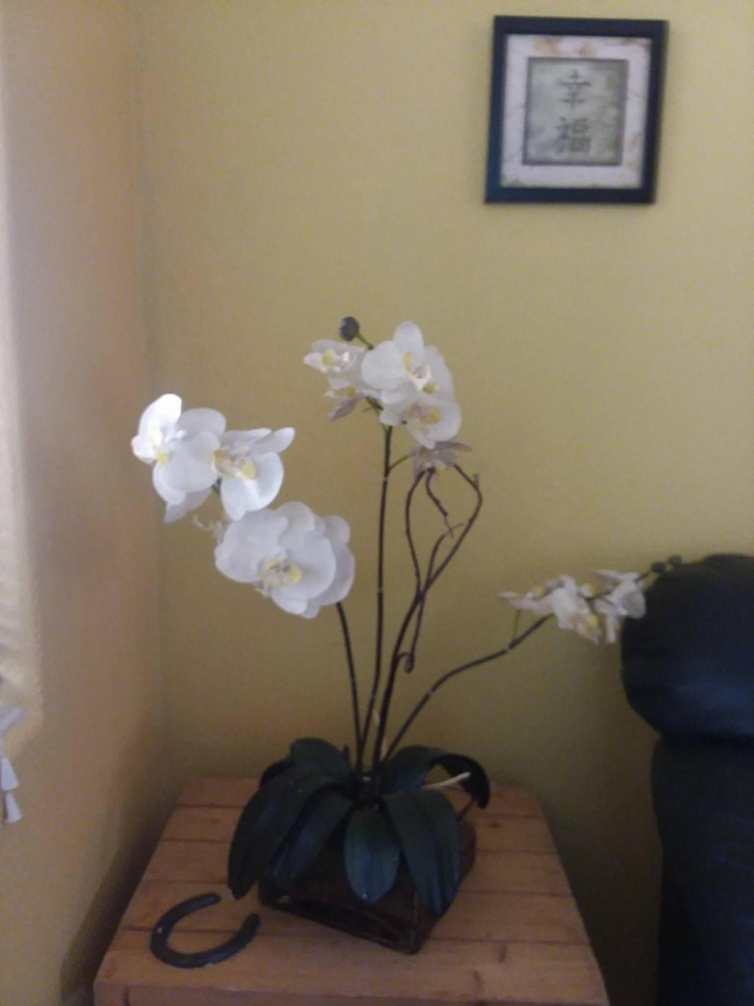 Photo 54