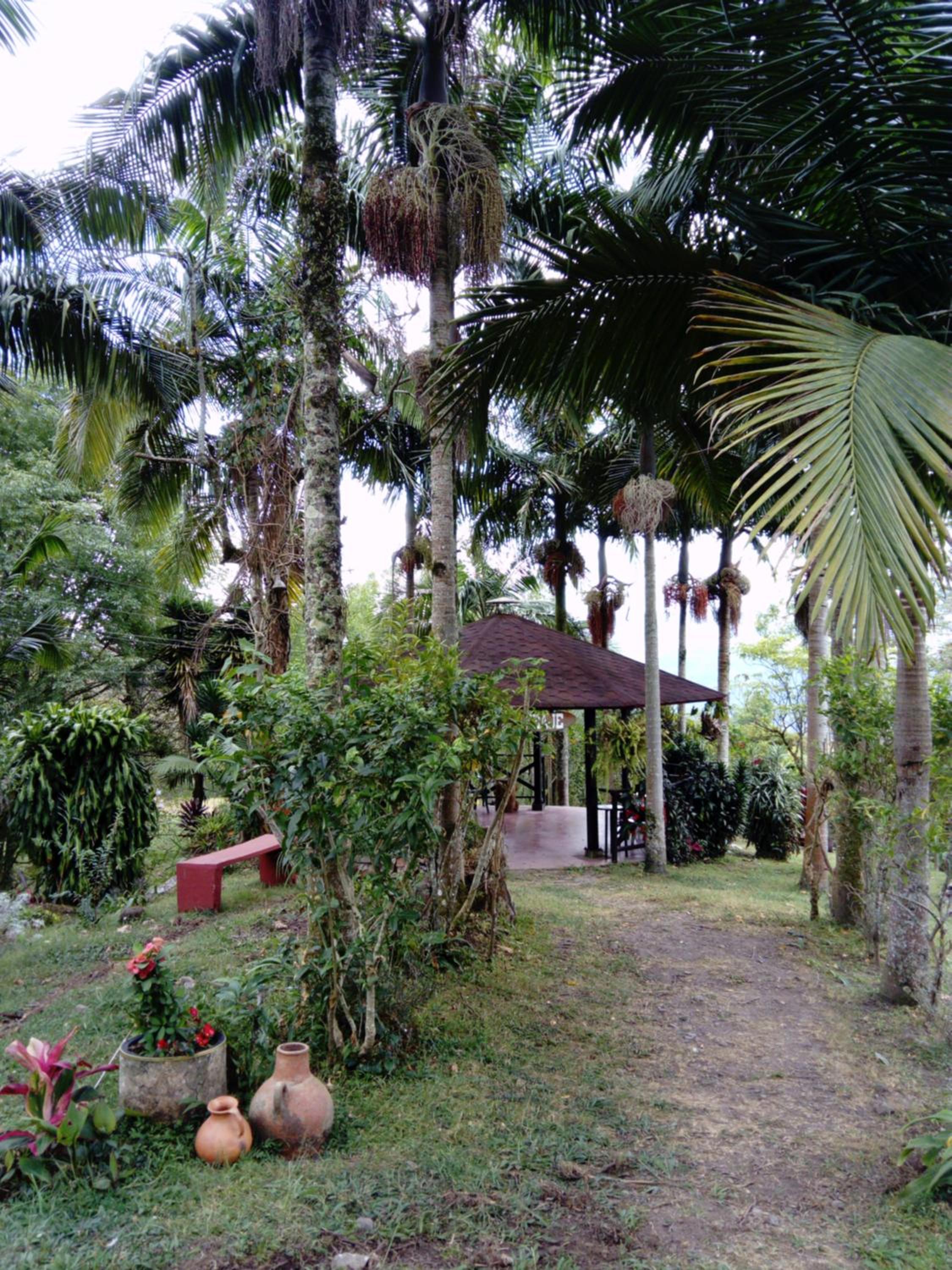 Finca La Esperanza Loma Linda