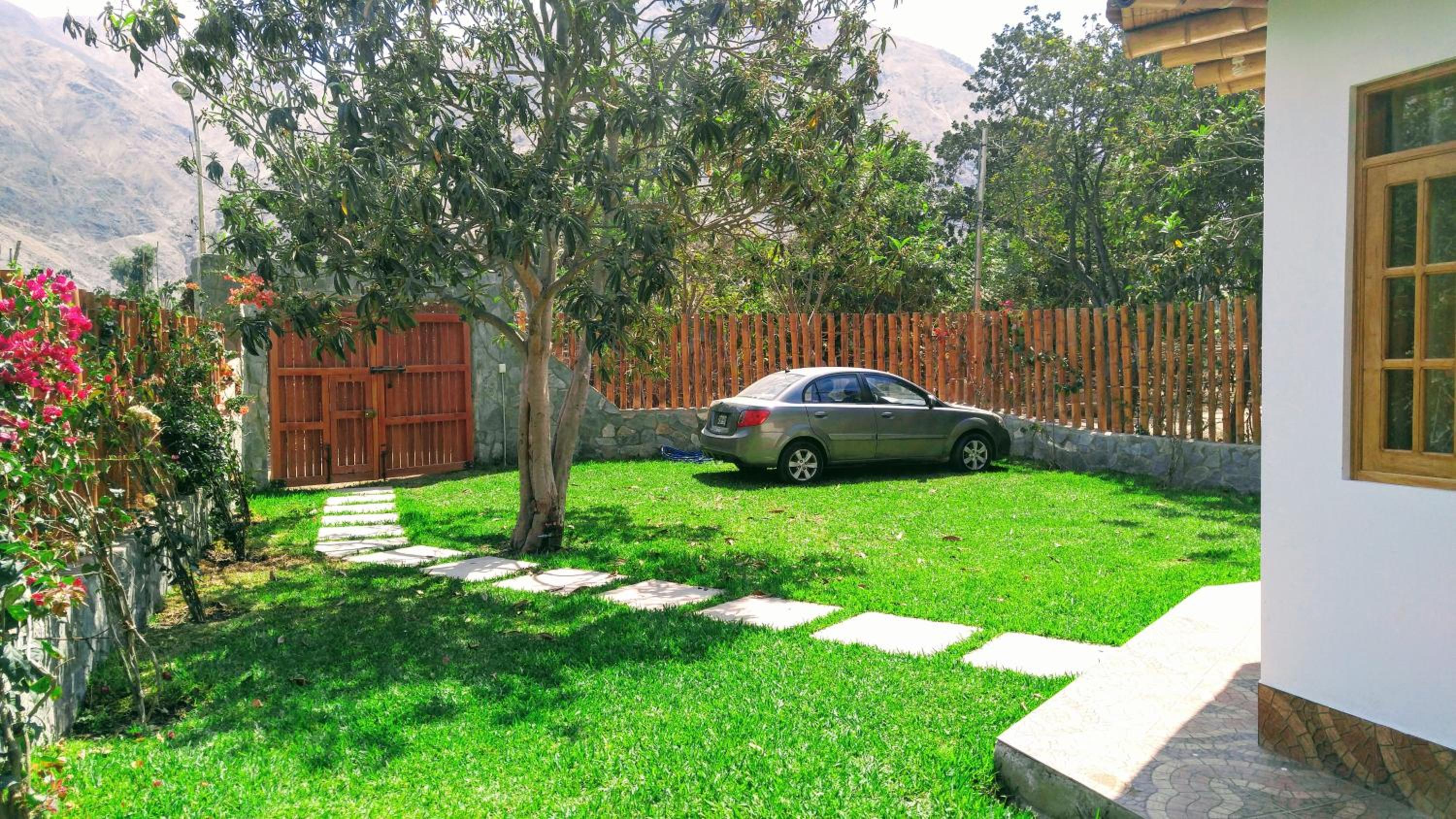 Photo 16