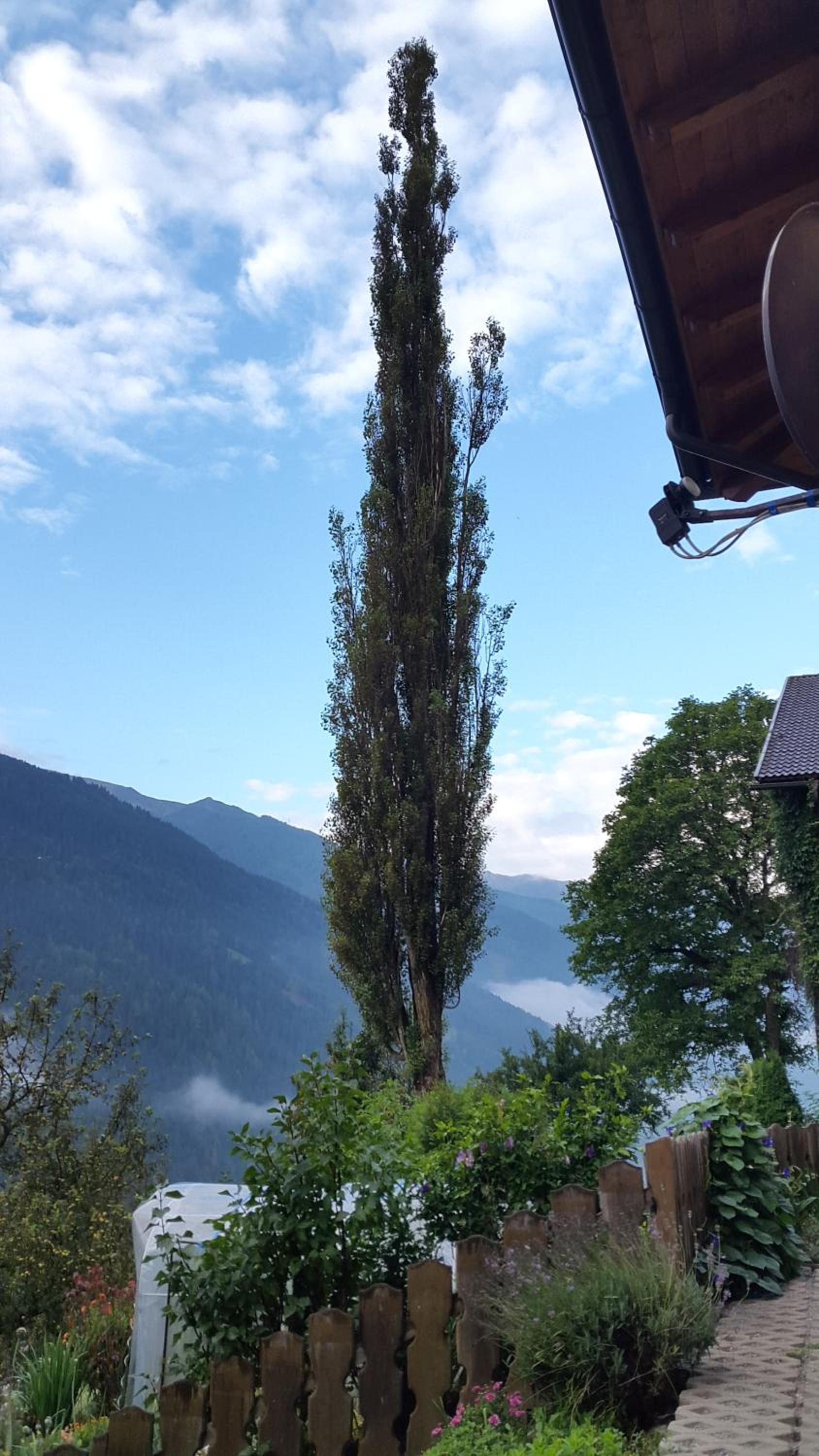 Pension Pichlerhof