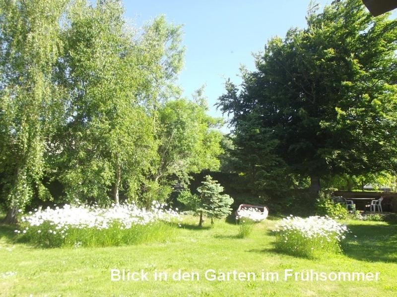 Photo 39