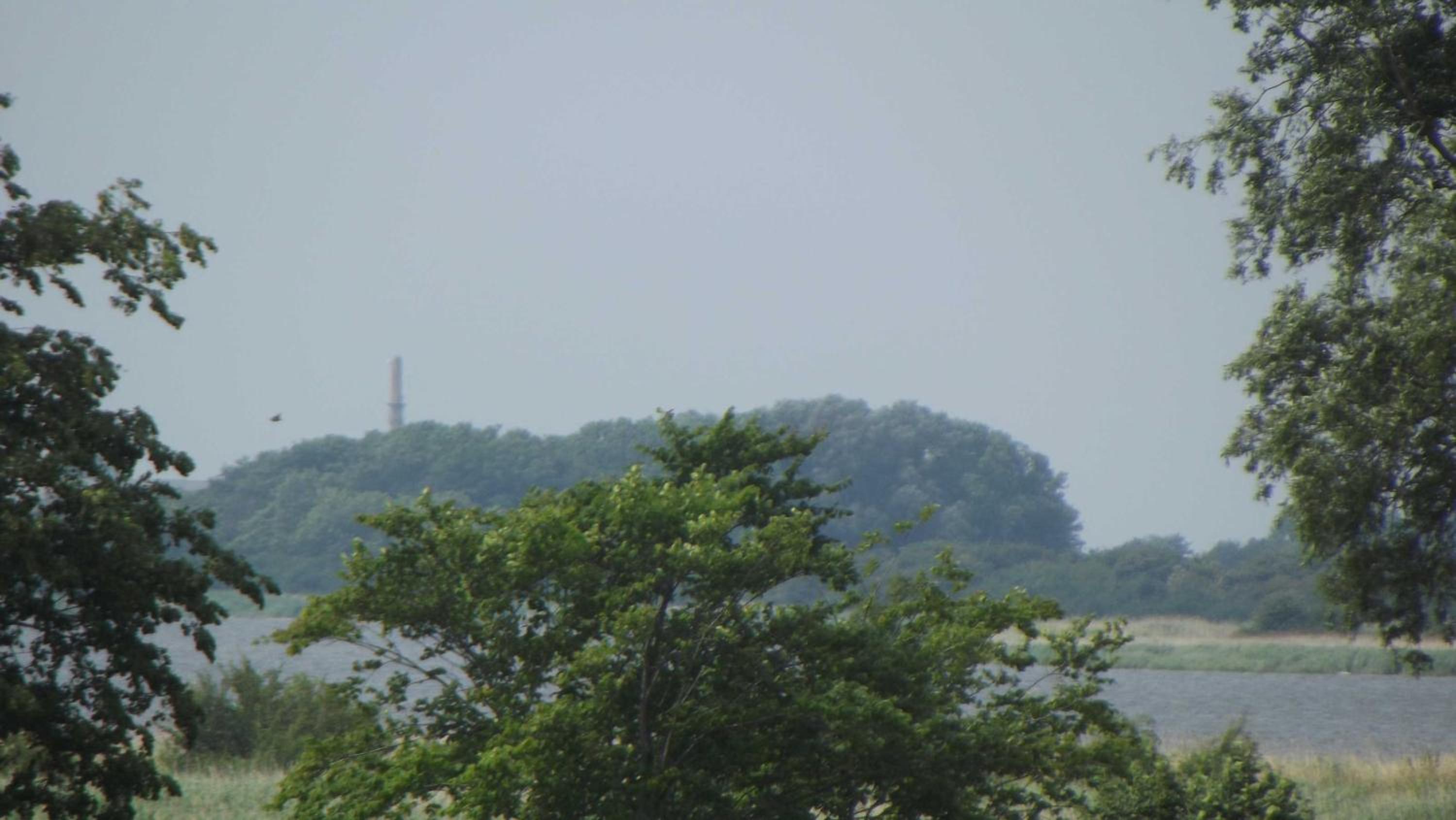Photo 40