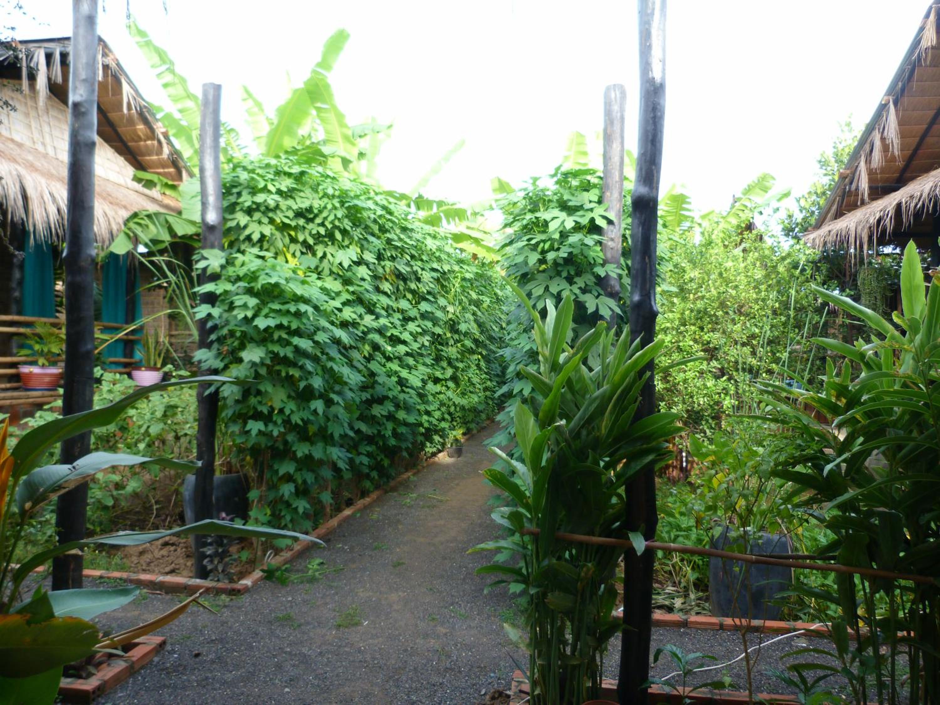 Battambang Dream Bungalows