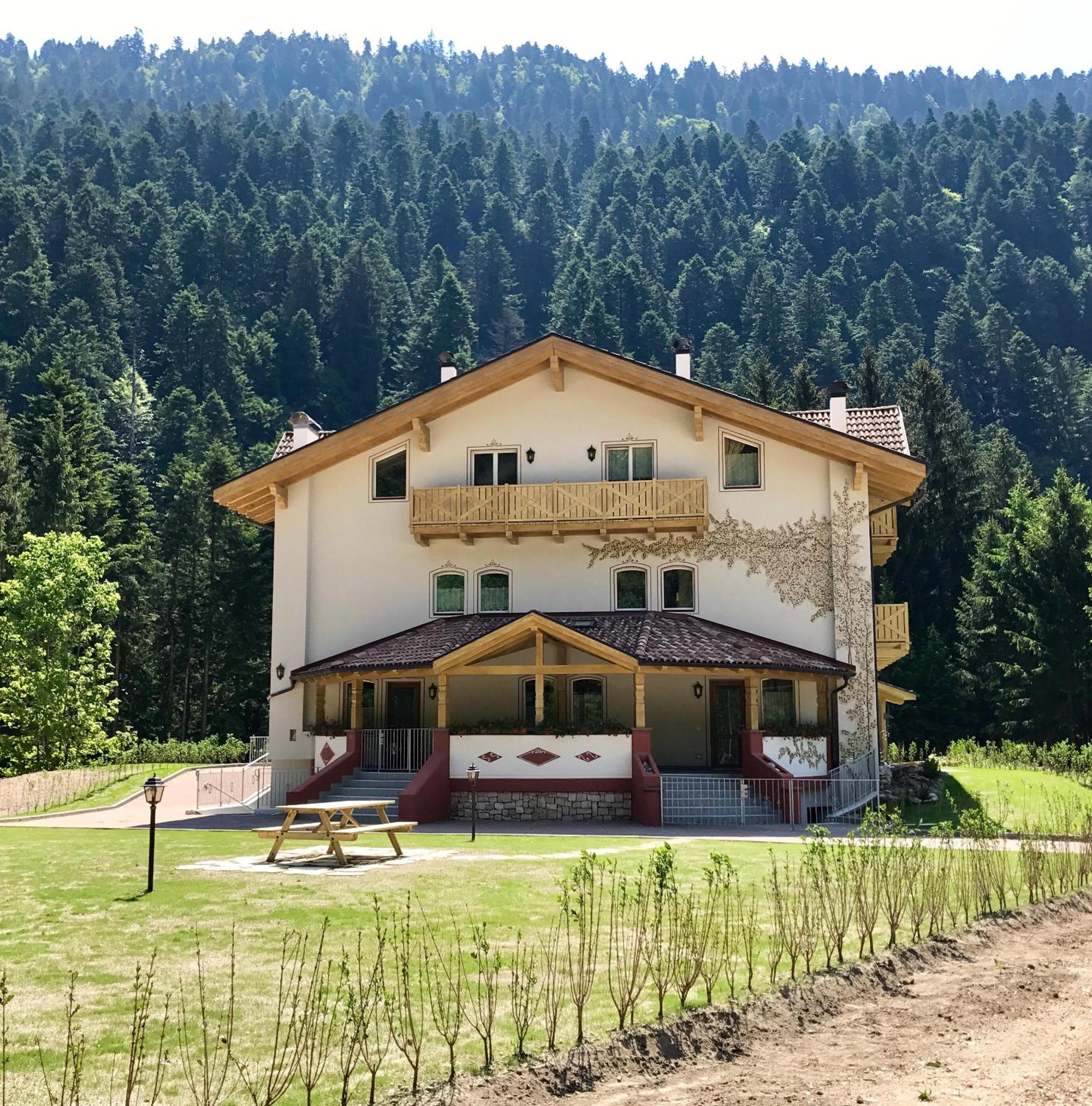 Genzianella Molveno-Andalo view 4