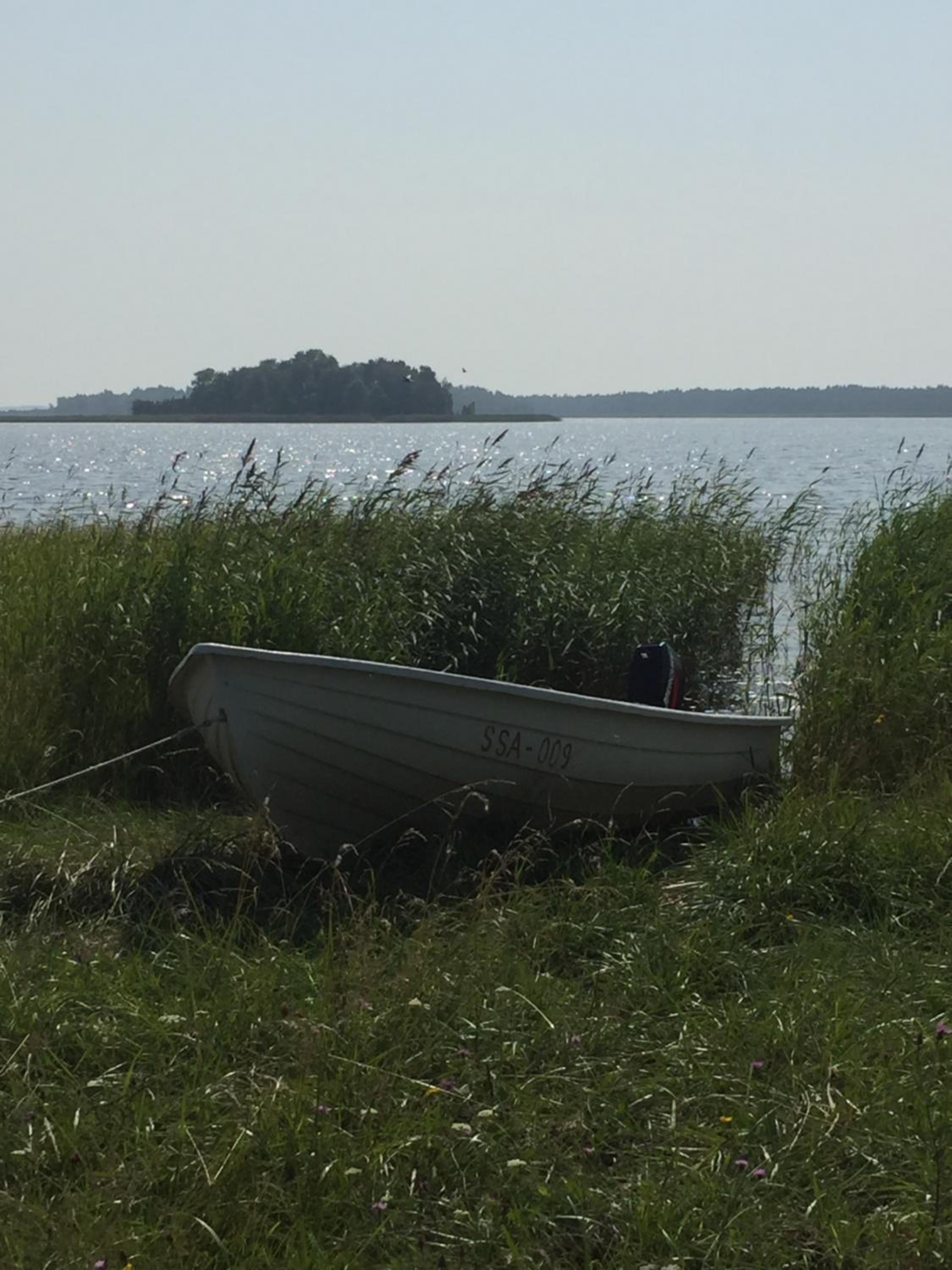 Photo 41