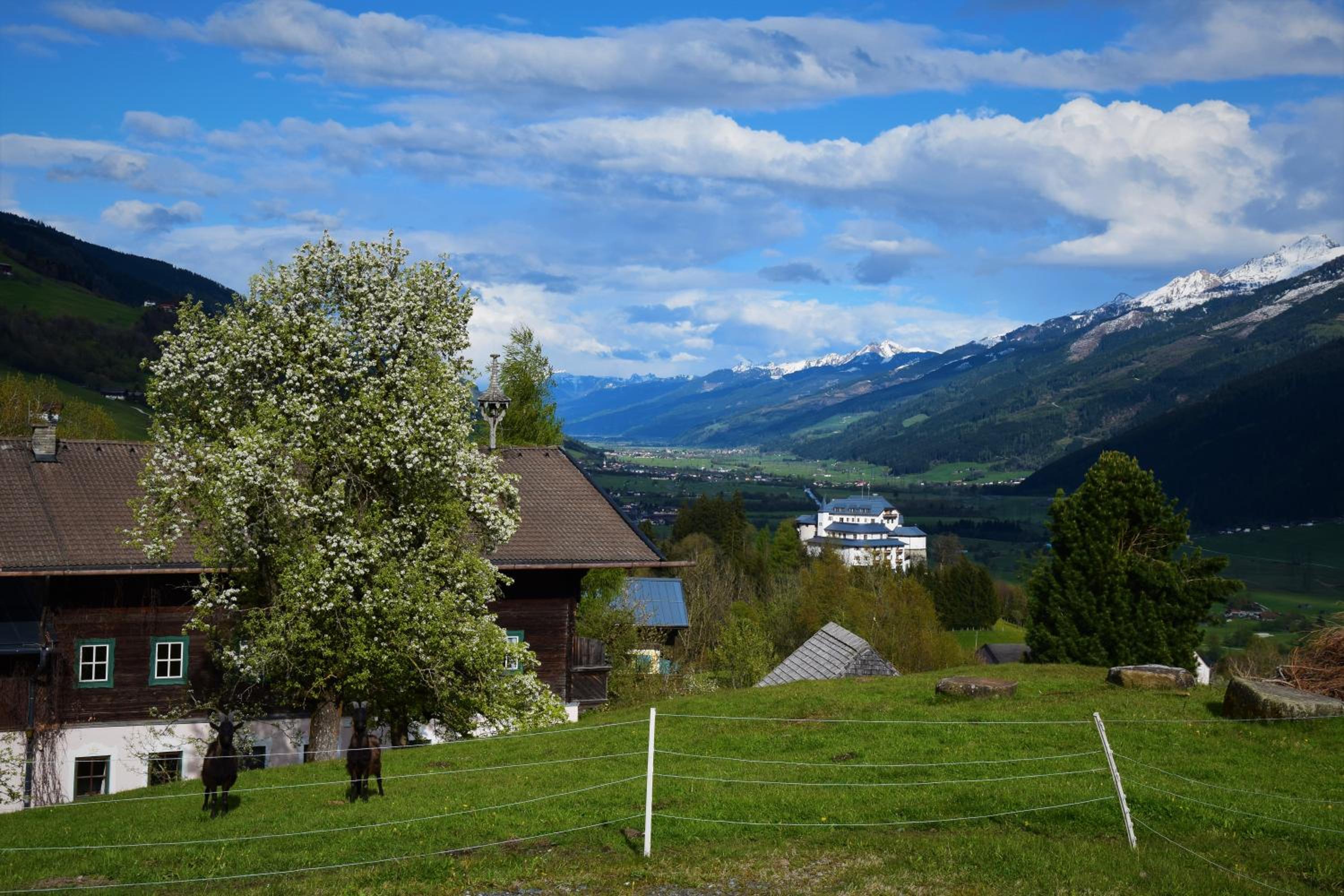 Pension Schachernhof