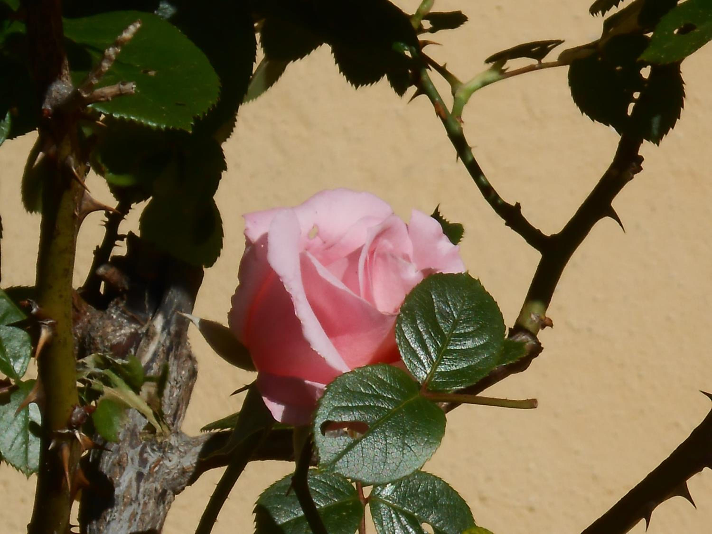 Photo 29